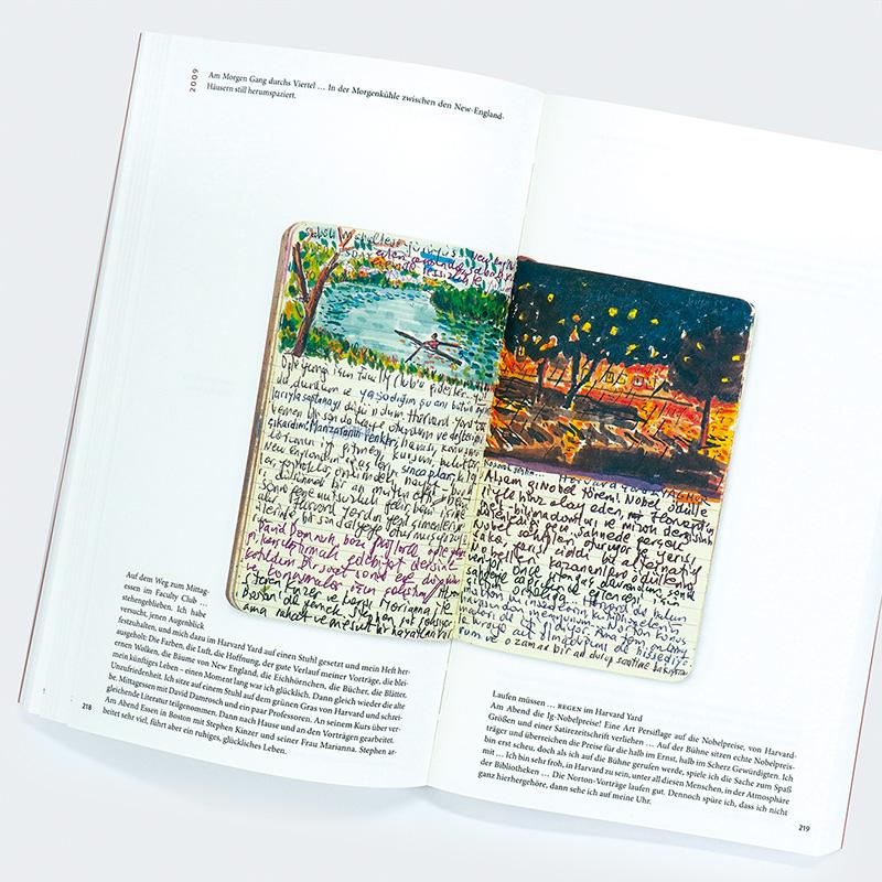 Beispielinhalt (Bild) Erinnerungen an ferne Berge