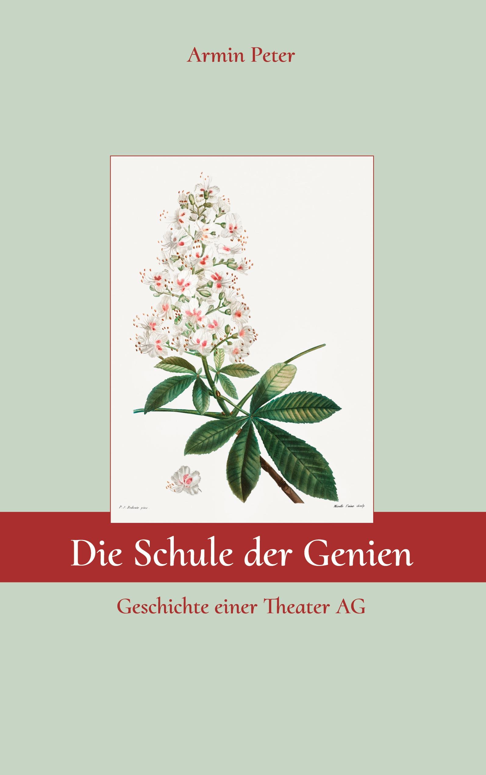 Vorderes Coverbild Die Schule der Genien