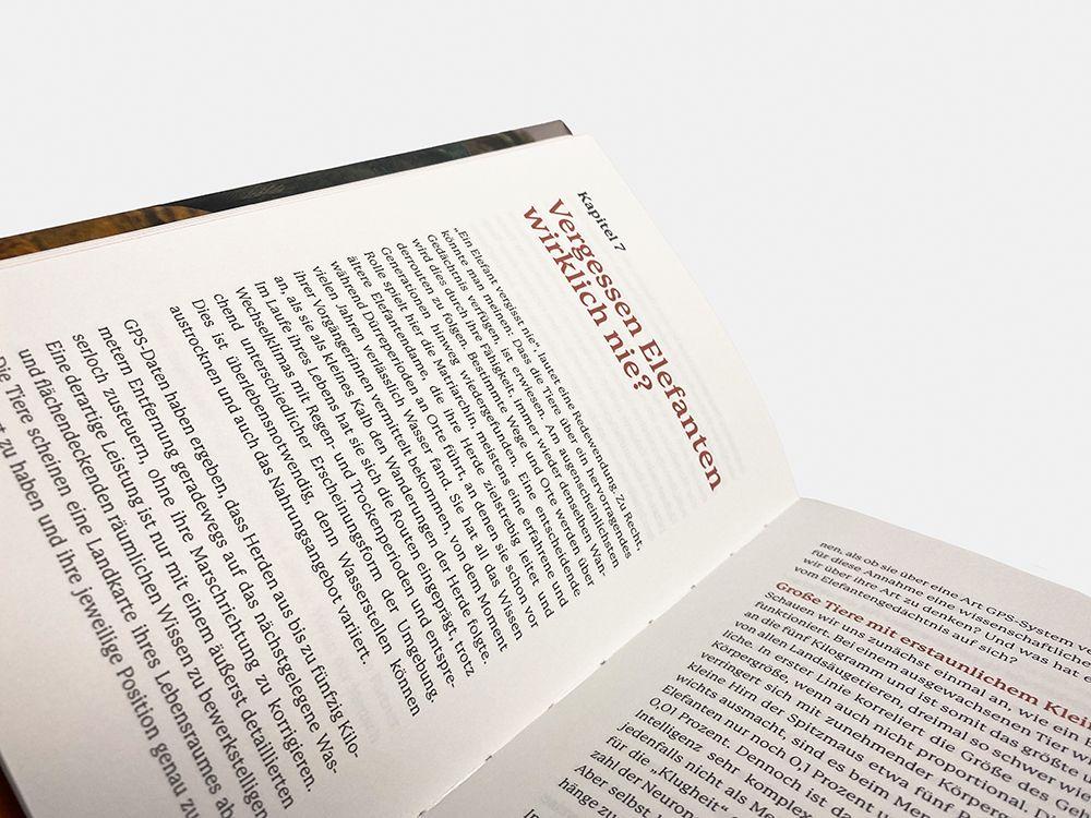 Beispielinhalt (Bild) Elefanten