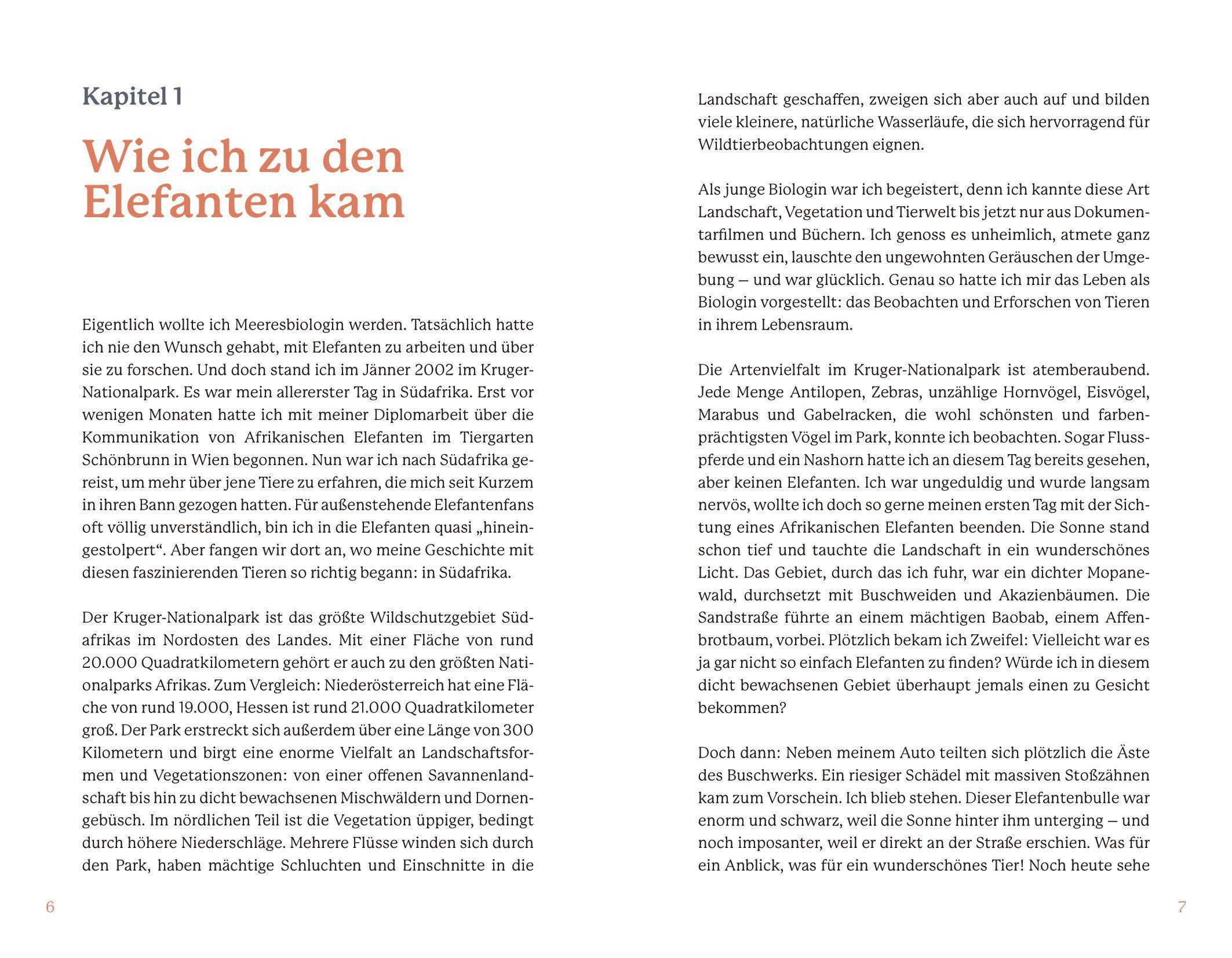 Beispielinhalt (Bild) Elefanten