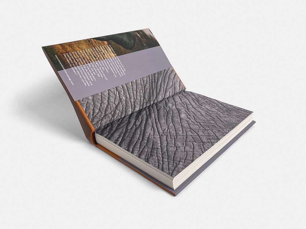 Beispielinhalt (Bild) Elefanten