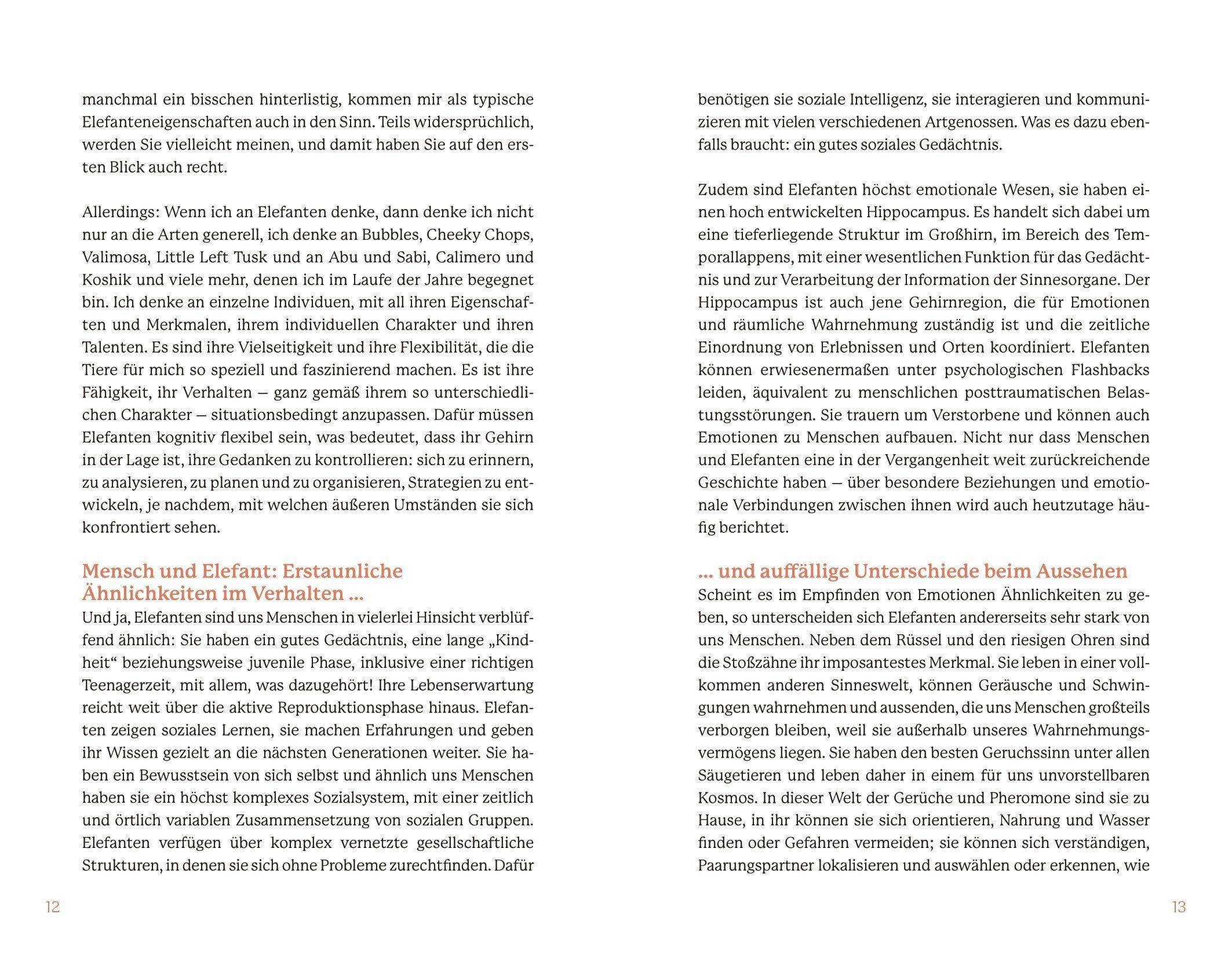 Beispielinhalt (Bild) Elefanten