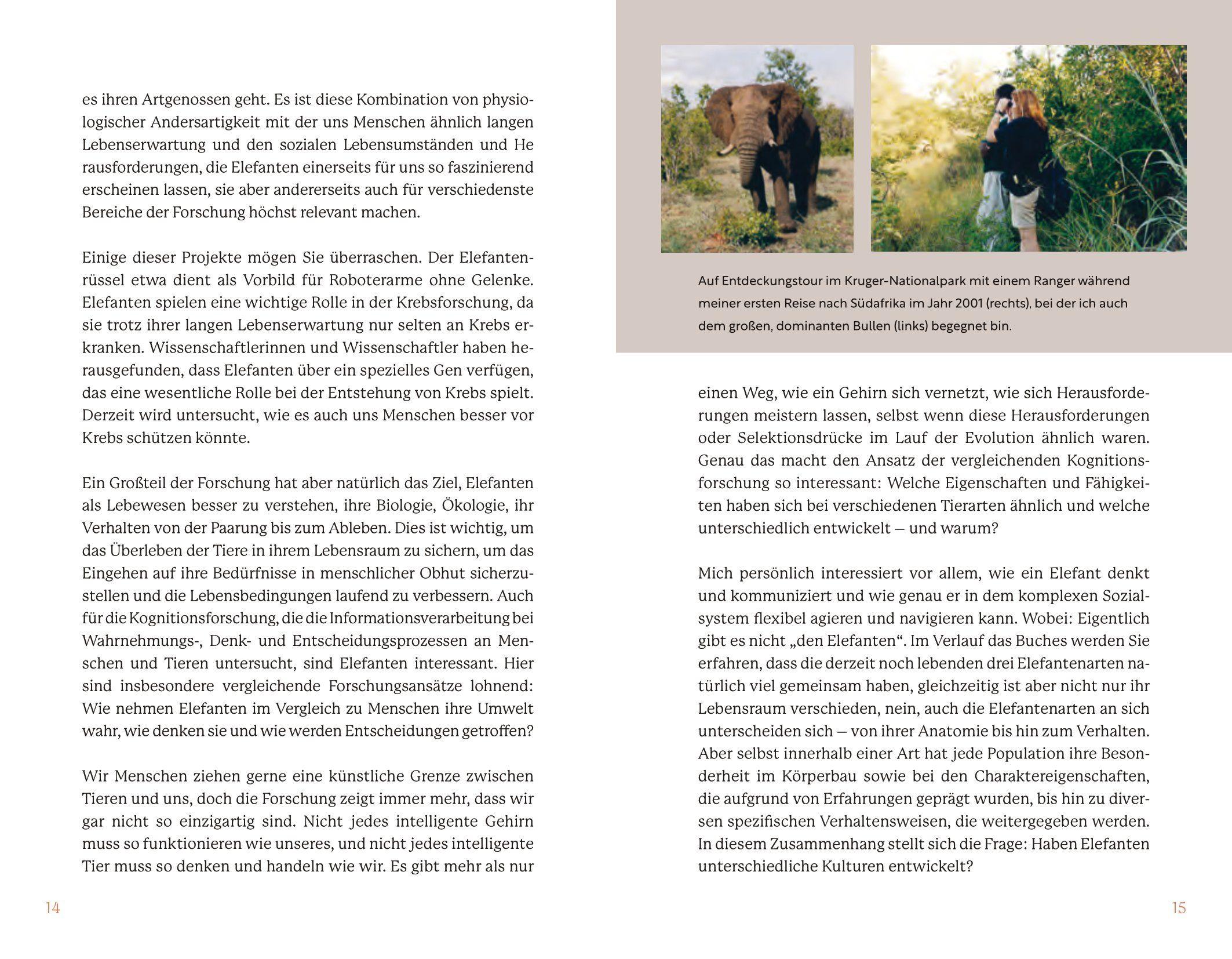 Beispielinhalt (Bild) Elefanten