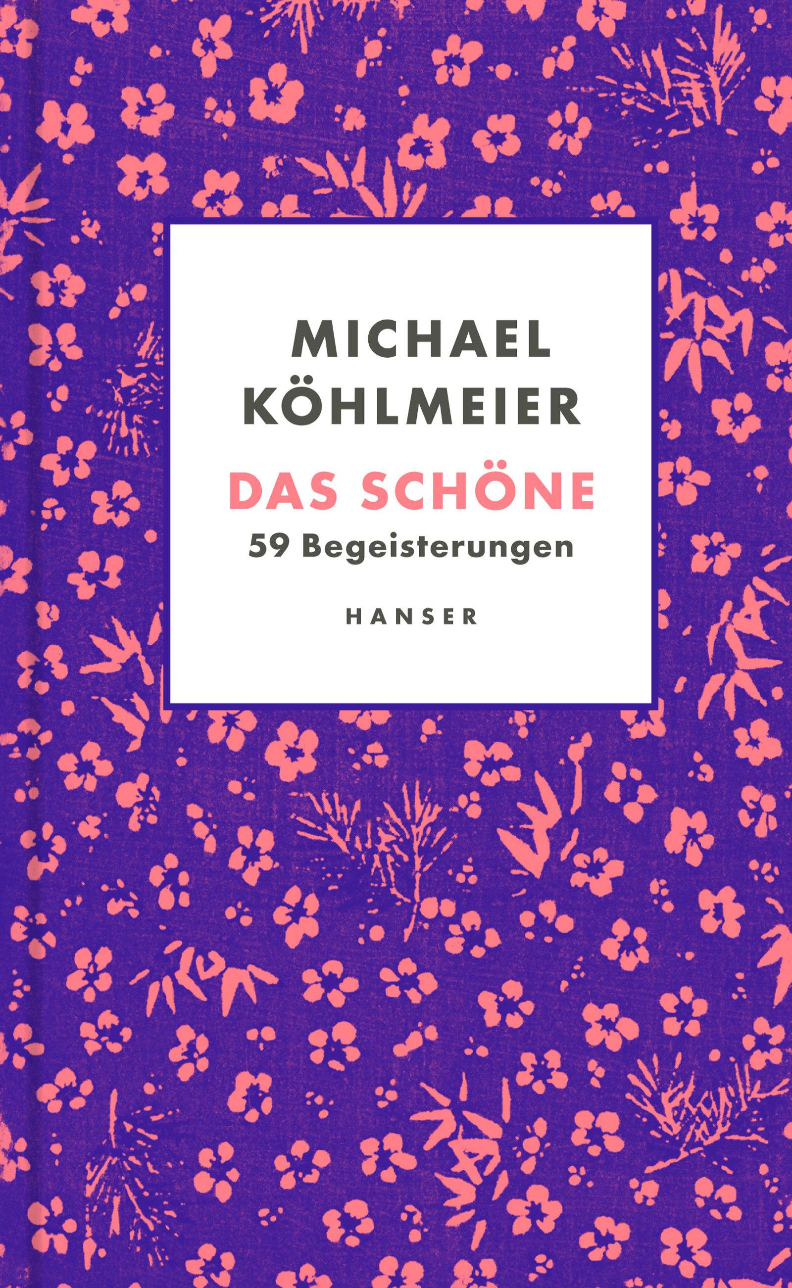 Vorderes Coverbild Das Schöne