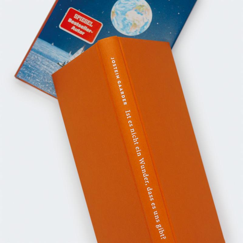 Beispielinhalt (Bild) Ist es nicht ein Wunder, dass es uns gibt?