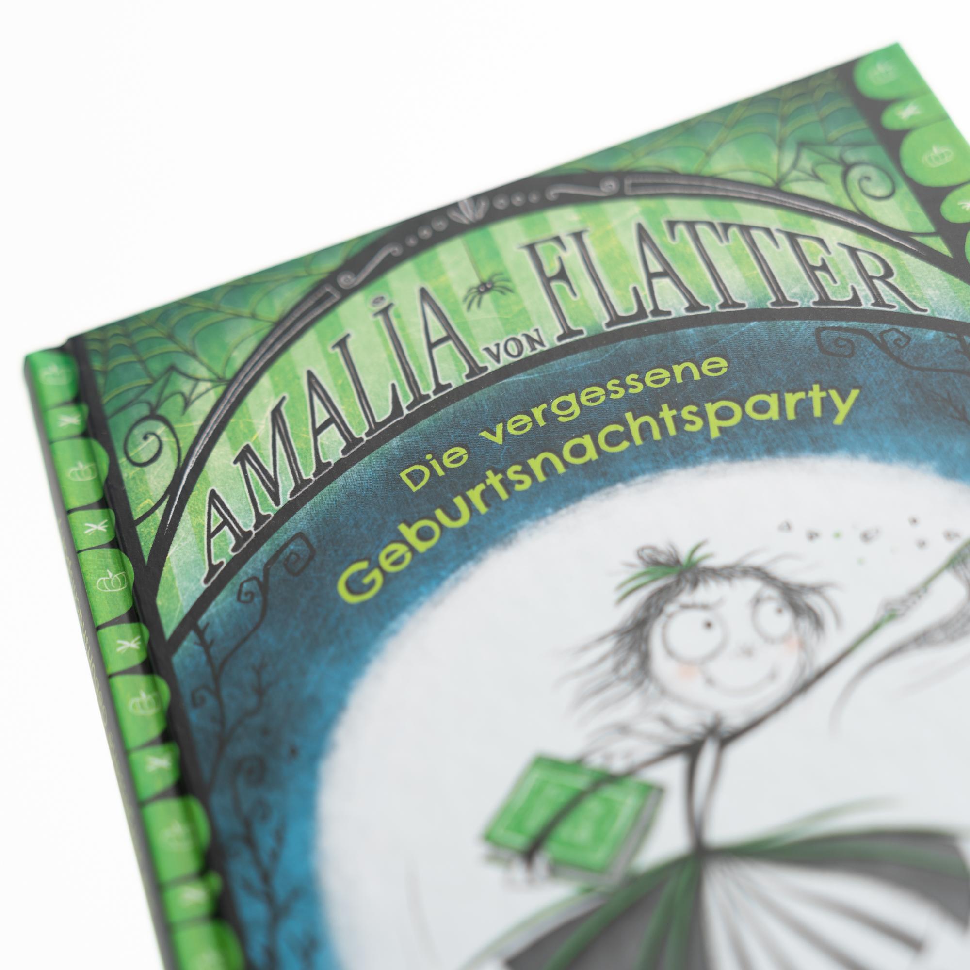 Beispielinhalt (Bild) Amalia von Flatter. Die vergessene Geburtsnachtsparty (Band 3)