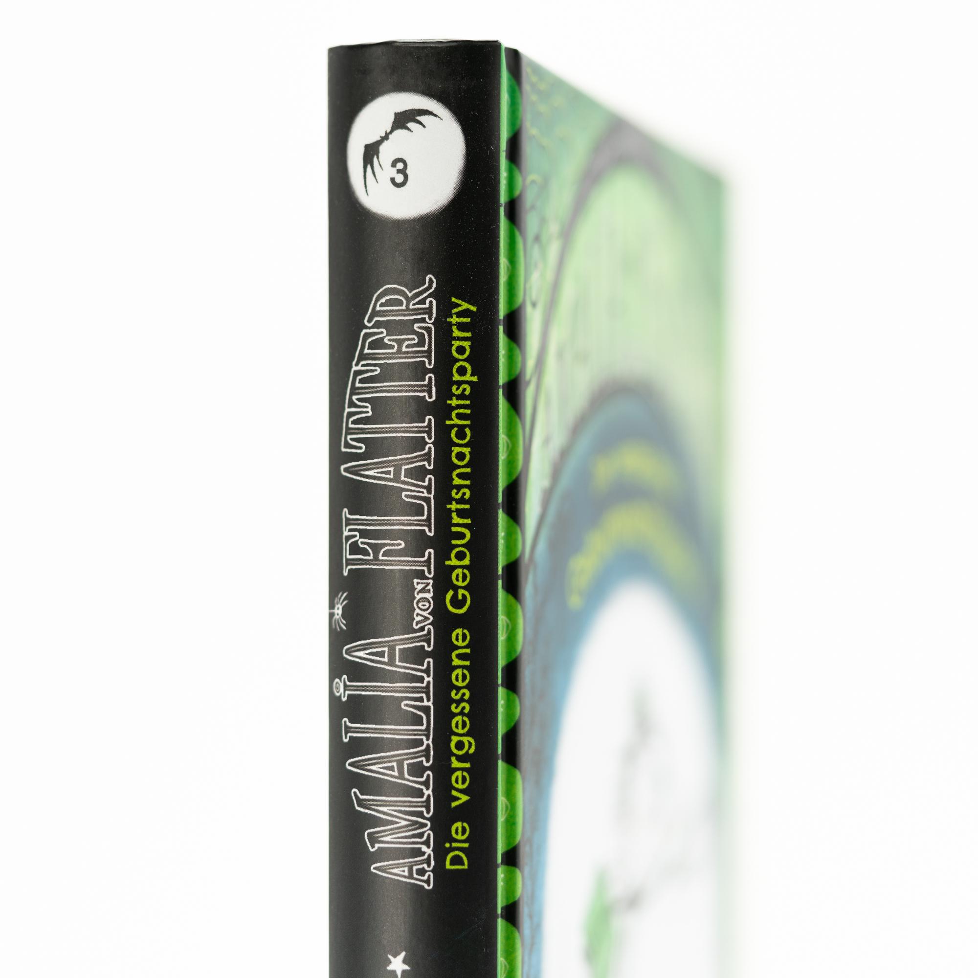 Beispielinhalt (Bild) Amalia von Flatter. Die vergessene Geburtsnachtsparty (Band 3)