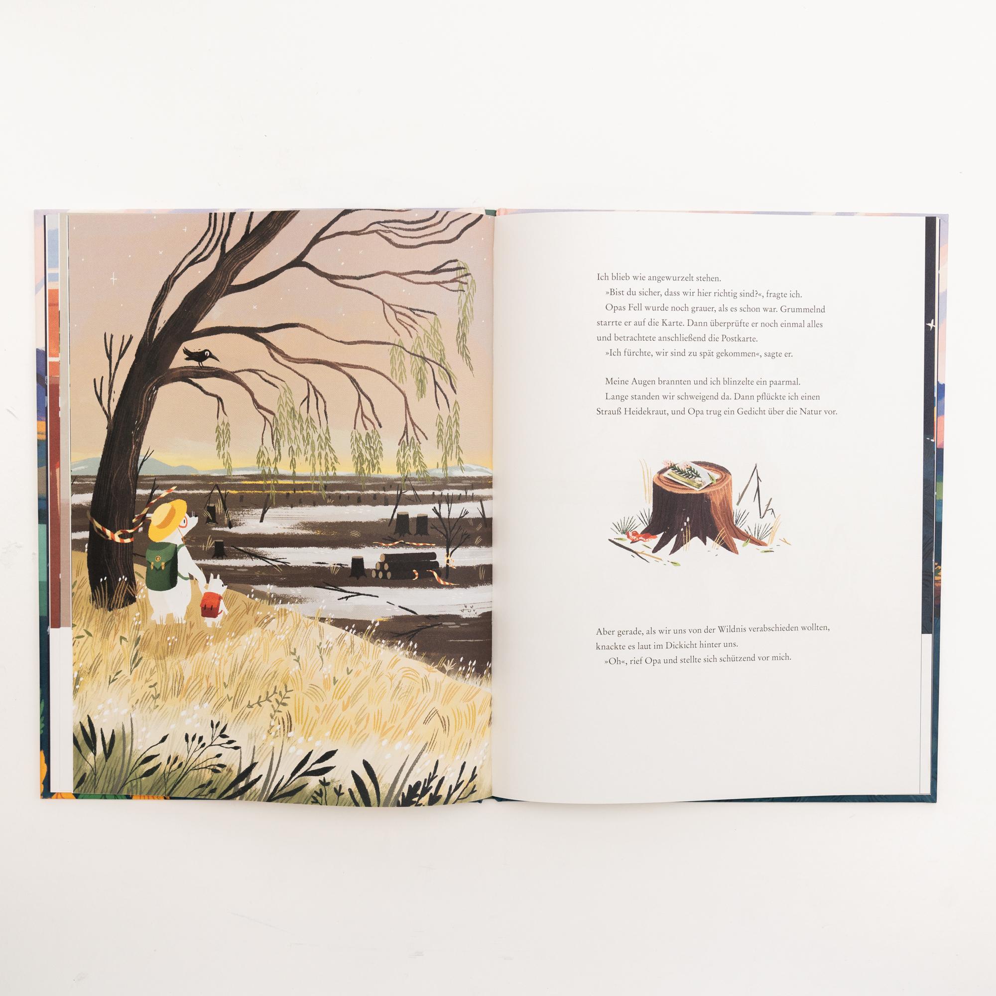 Beispielinhalt (Bild) Opa Bär und Kleiner Bär suchen die Wildnis