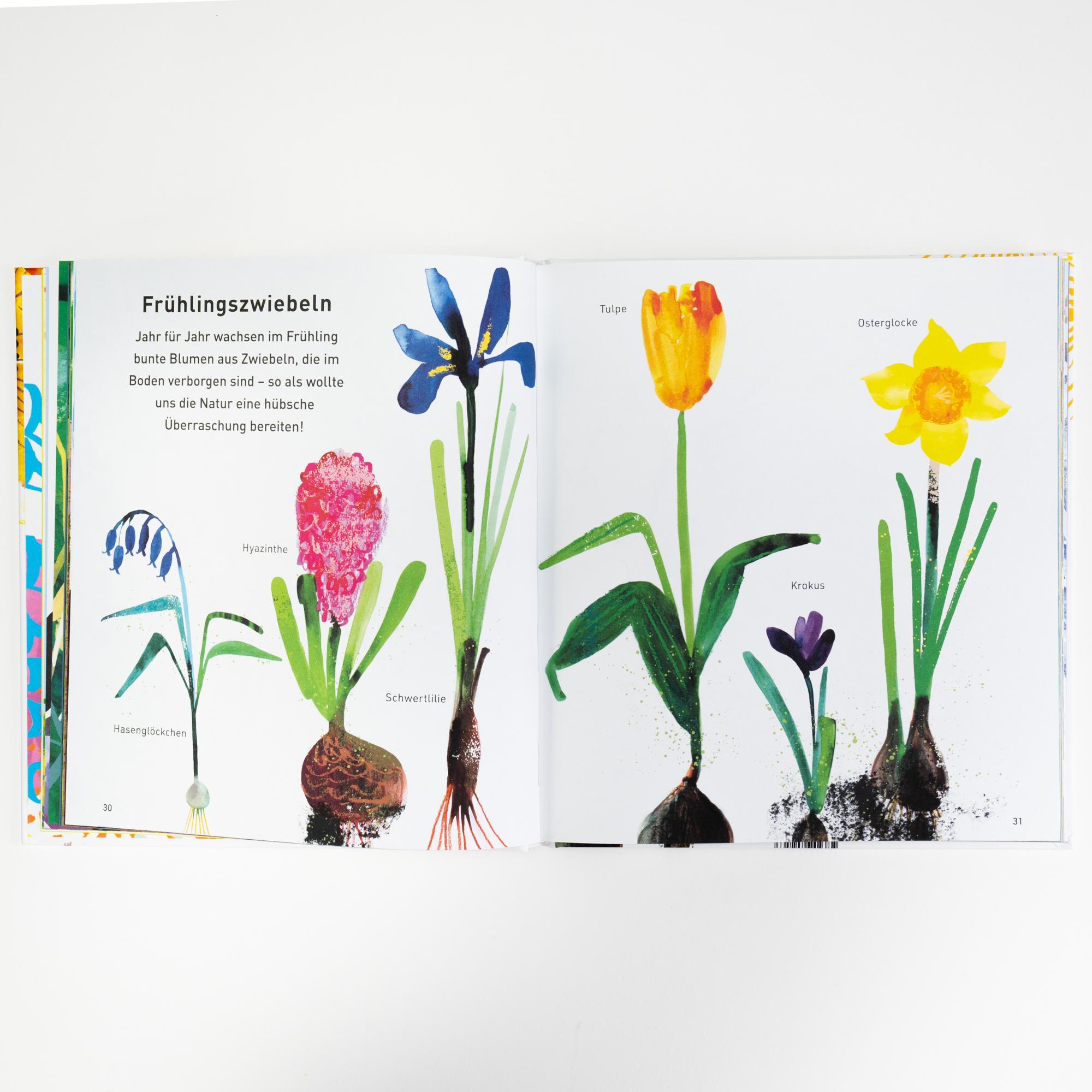 Beispielinhalt (Bild) Draußen in der Natur. Ein Sachbilderbuch über die vier Jahreszeiten