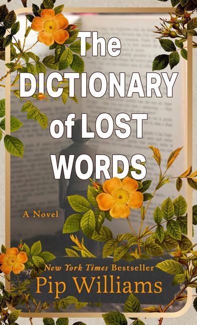 Vorderes Coverbild The Dictionary of Lost Words