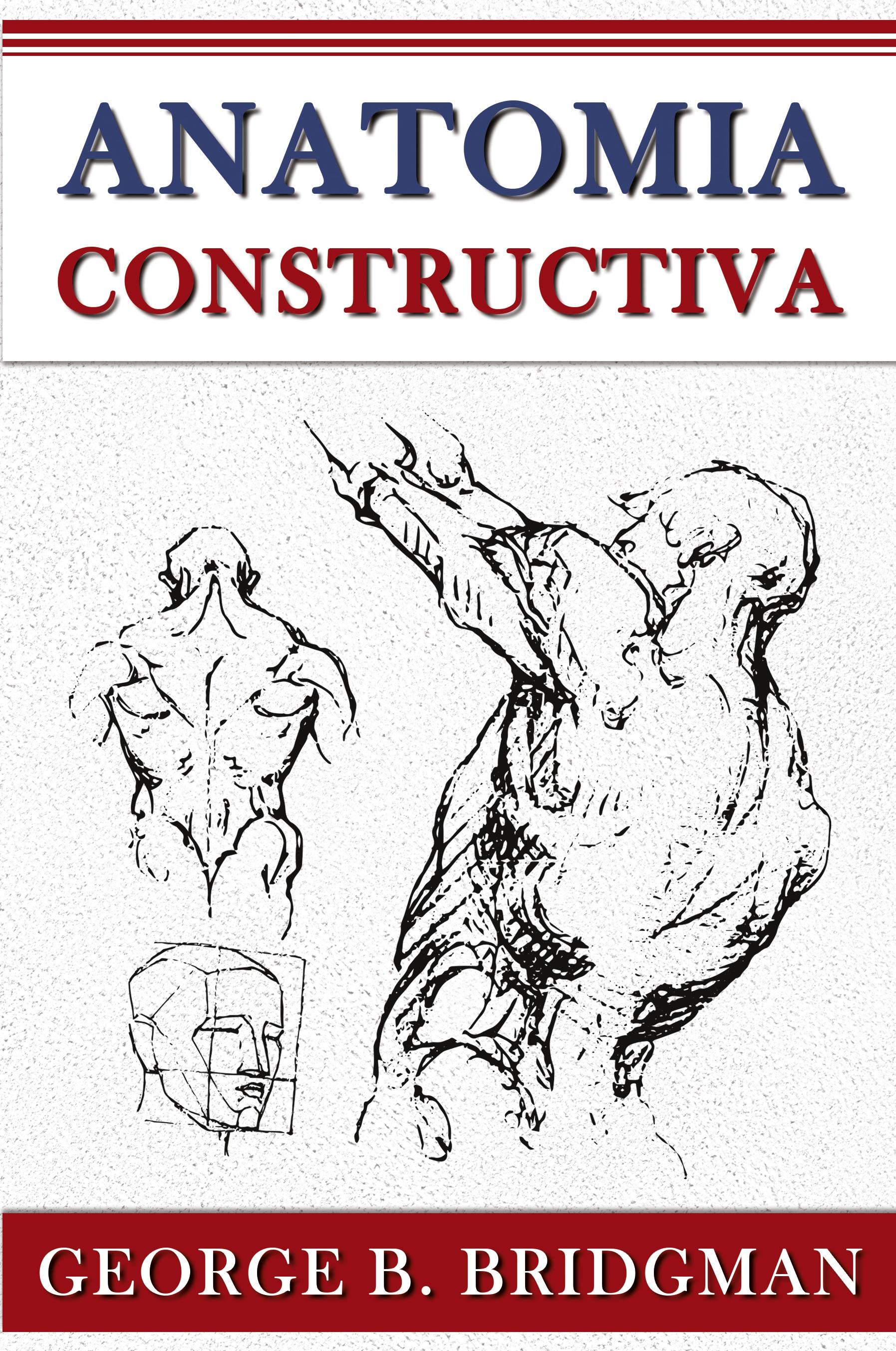 Vorderes Coverbild Anatomia Constructiva
