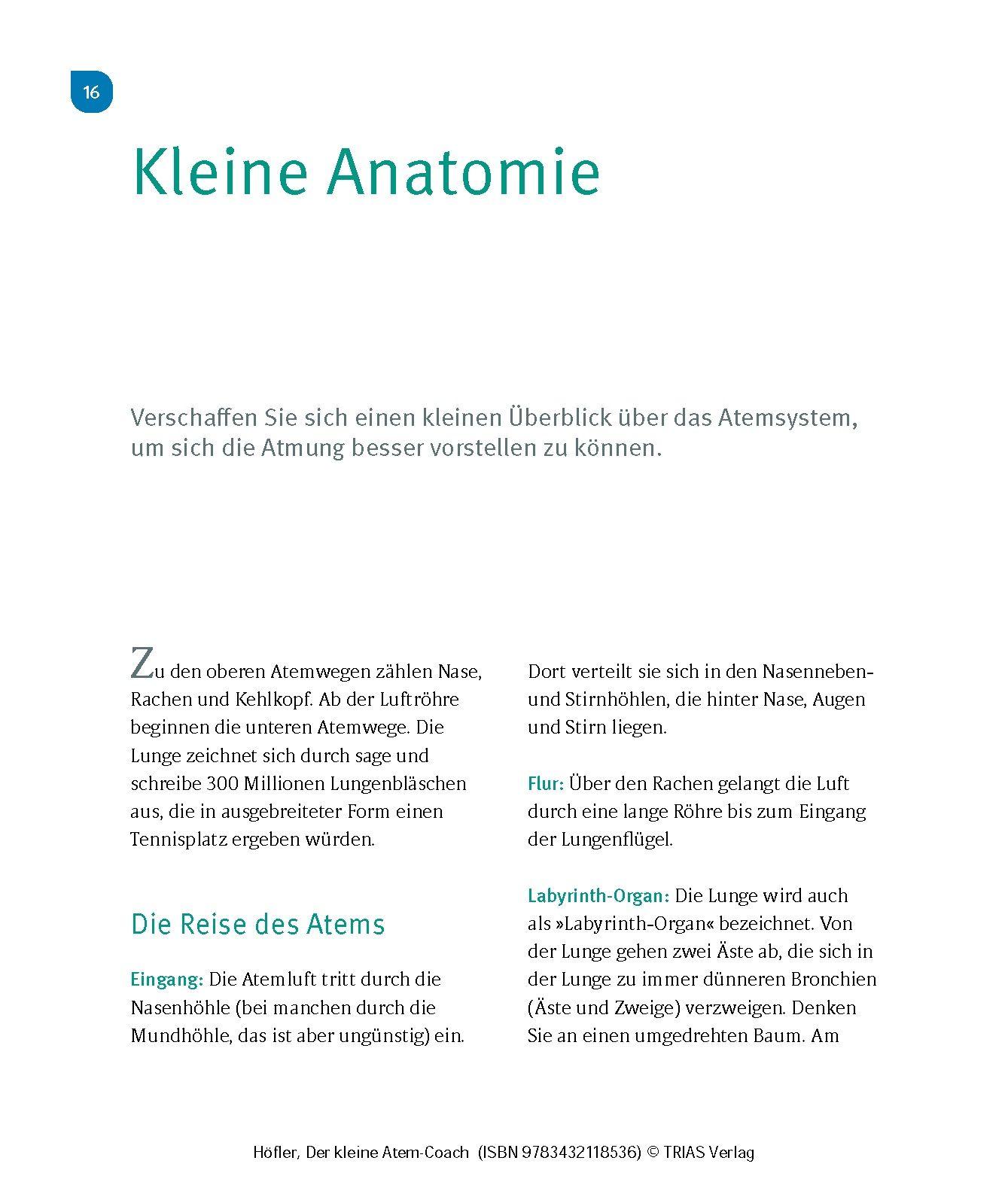 Beispielinhalt (Bild) Der kleine Atem-Coach