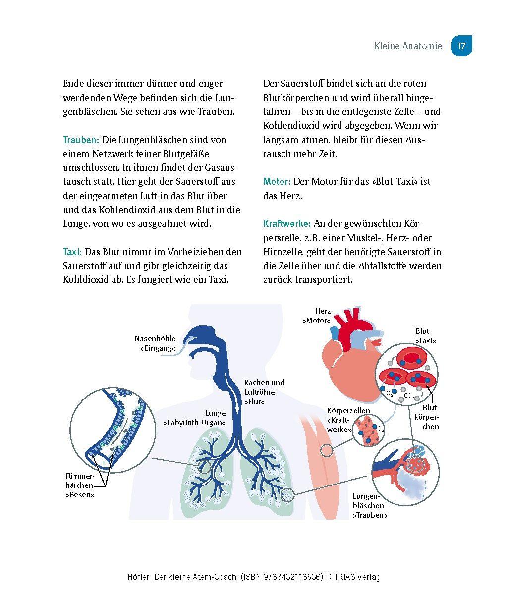Beispielinhalt (Bild) Der kleine Atem-Coach