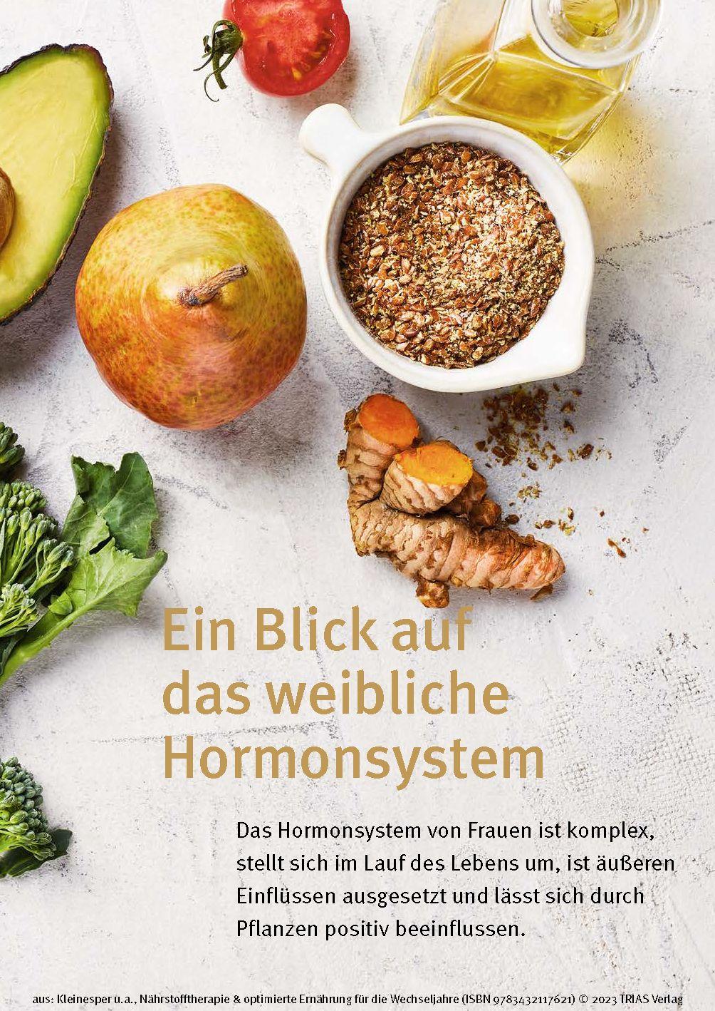 Beispielinhalt (Bild) Nährstofftherapie & optimierte Ernährung für die Wechseljahre