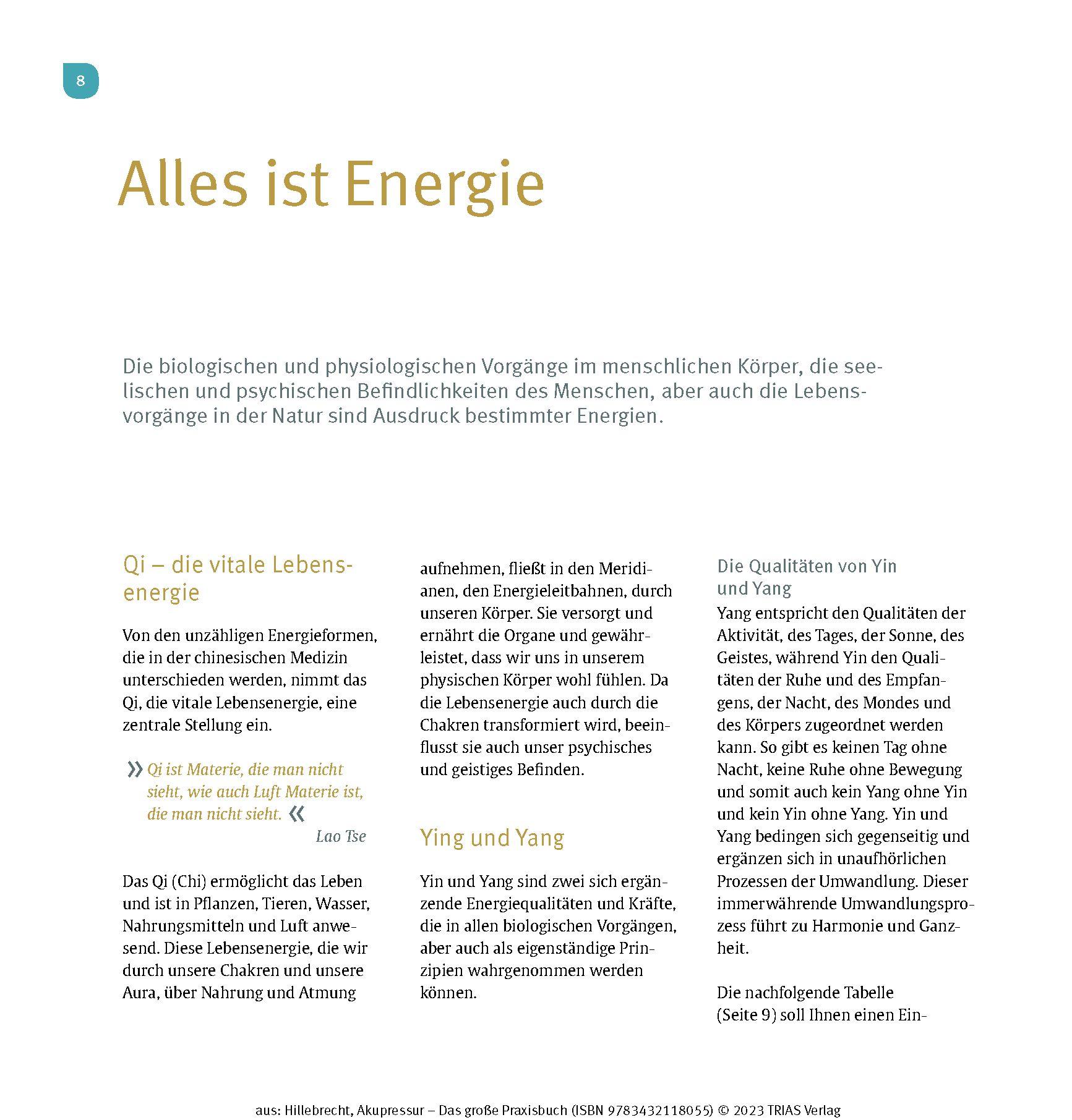 Beispielinhalt (Bild) Akupressur - Das große Praxisbuch