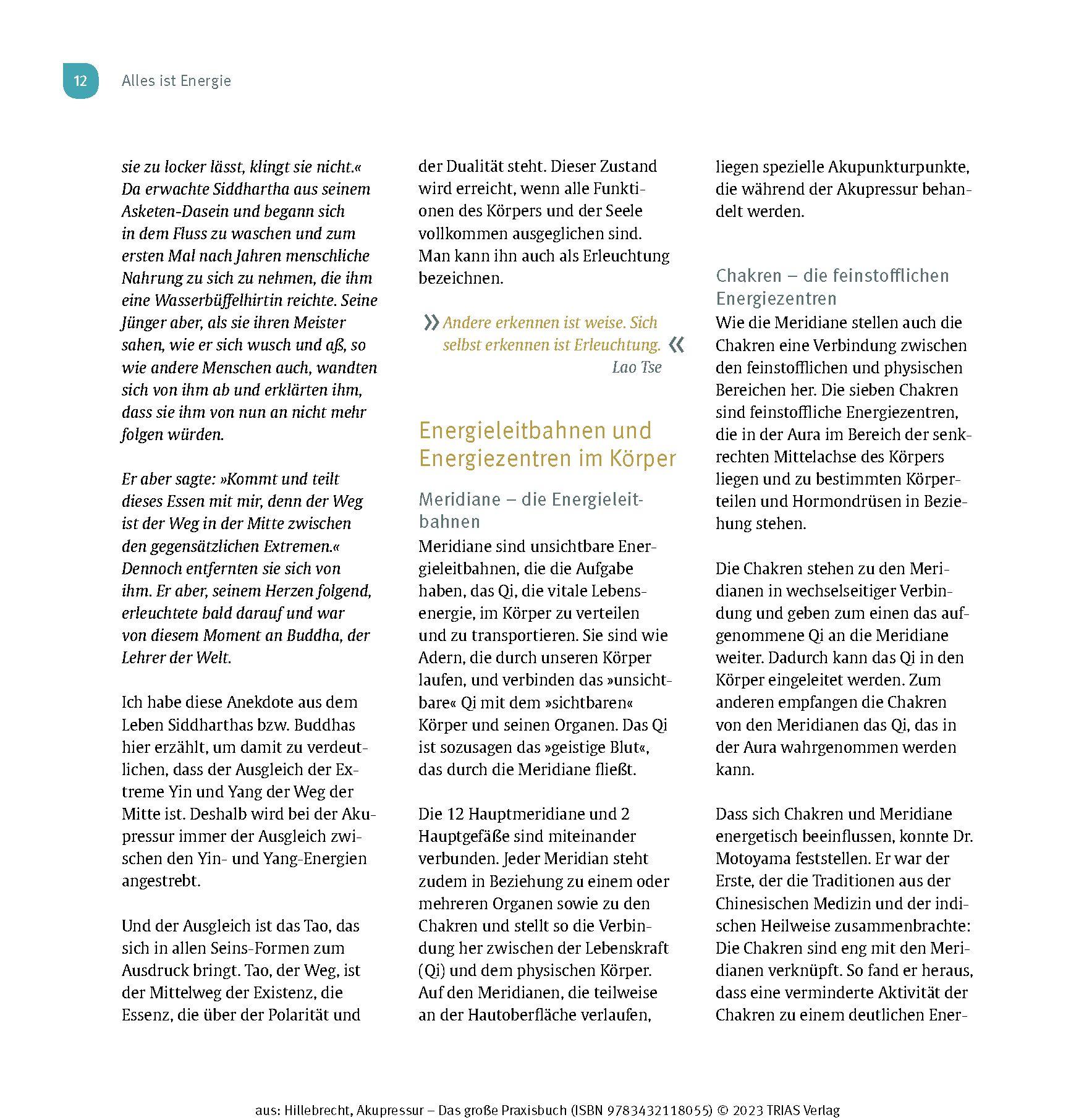 Beispielinhalt (Bild) Akupressur - Das große Praxisbuch