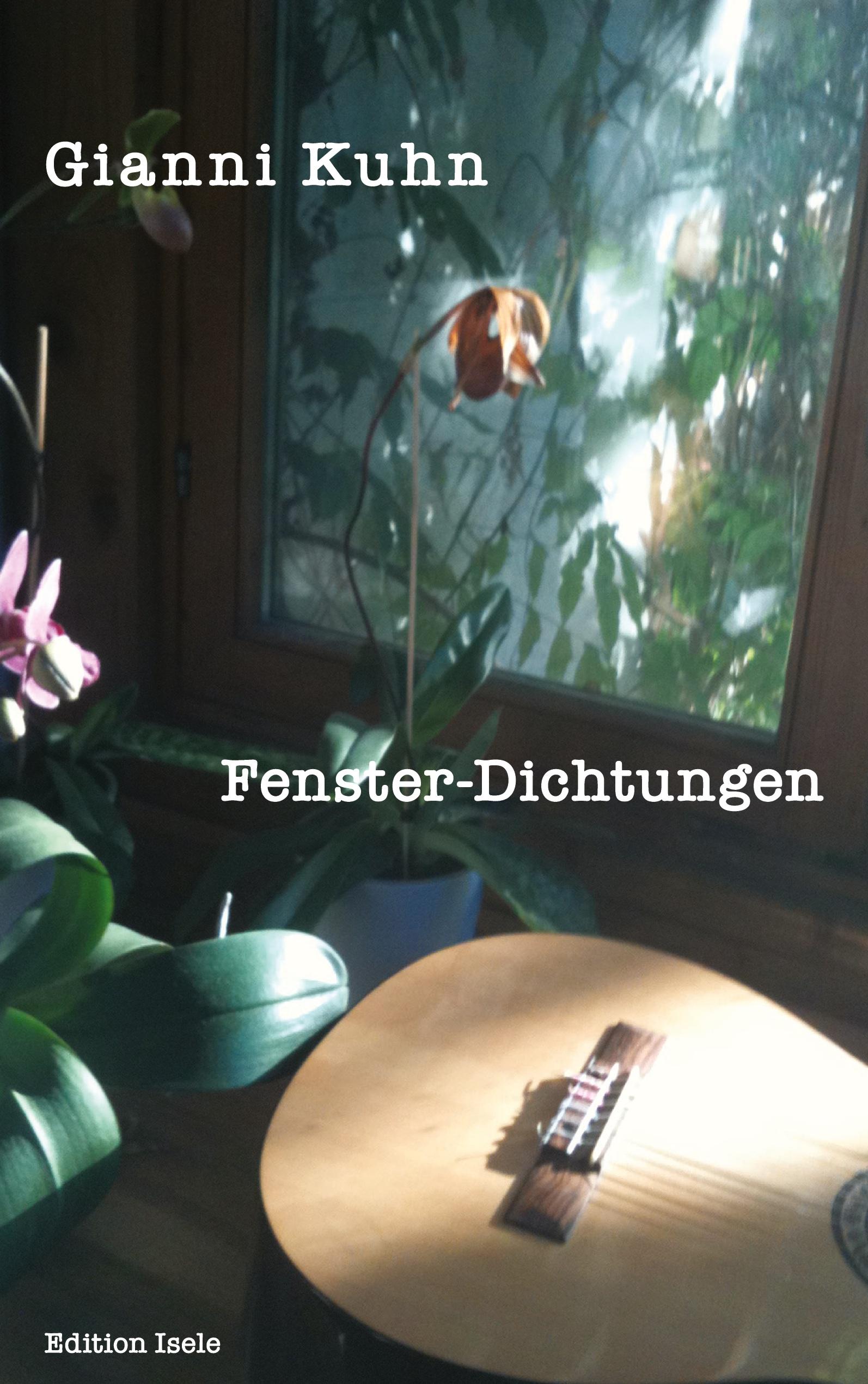 Vorderes Coverbild Fenster-Dichtungen