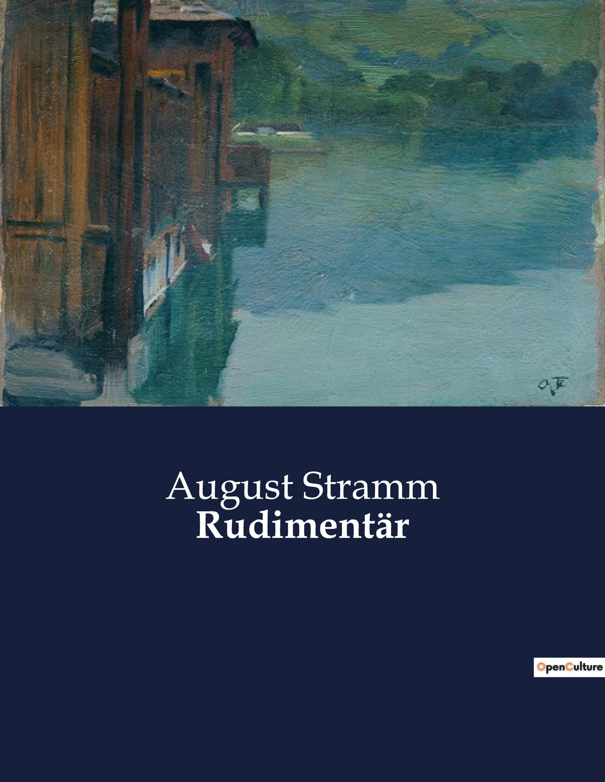 Vorderes Coverbild Rudimentär