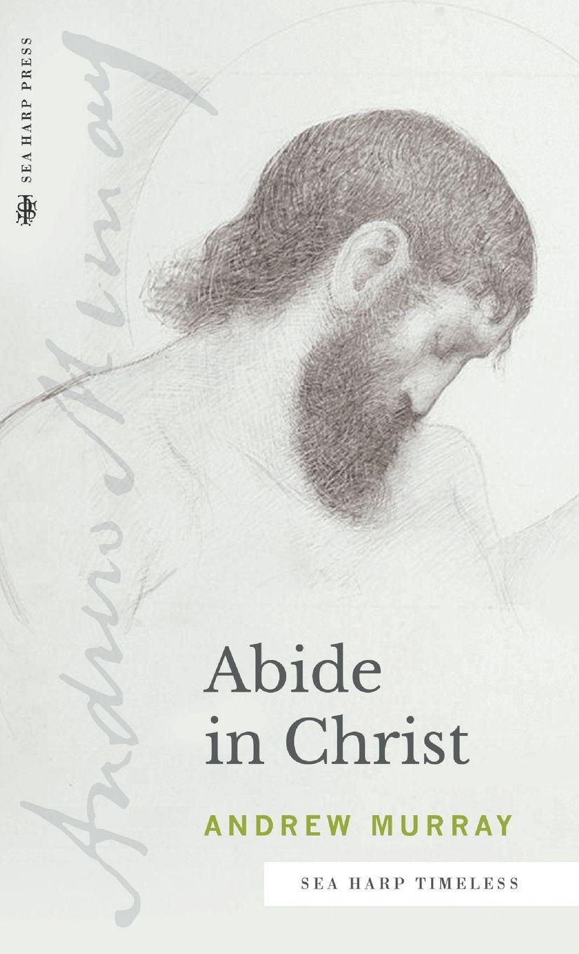 Vorderes Coverbild Abide in Christ (Sea Harp Timeless series)