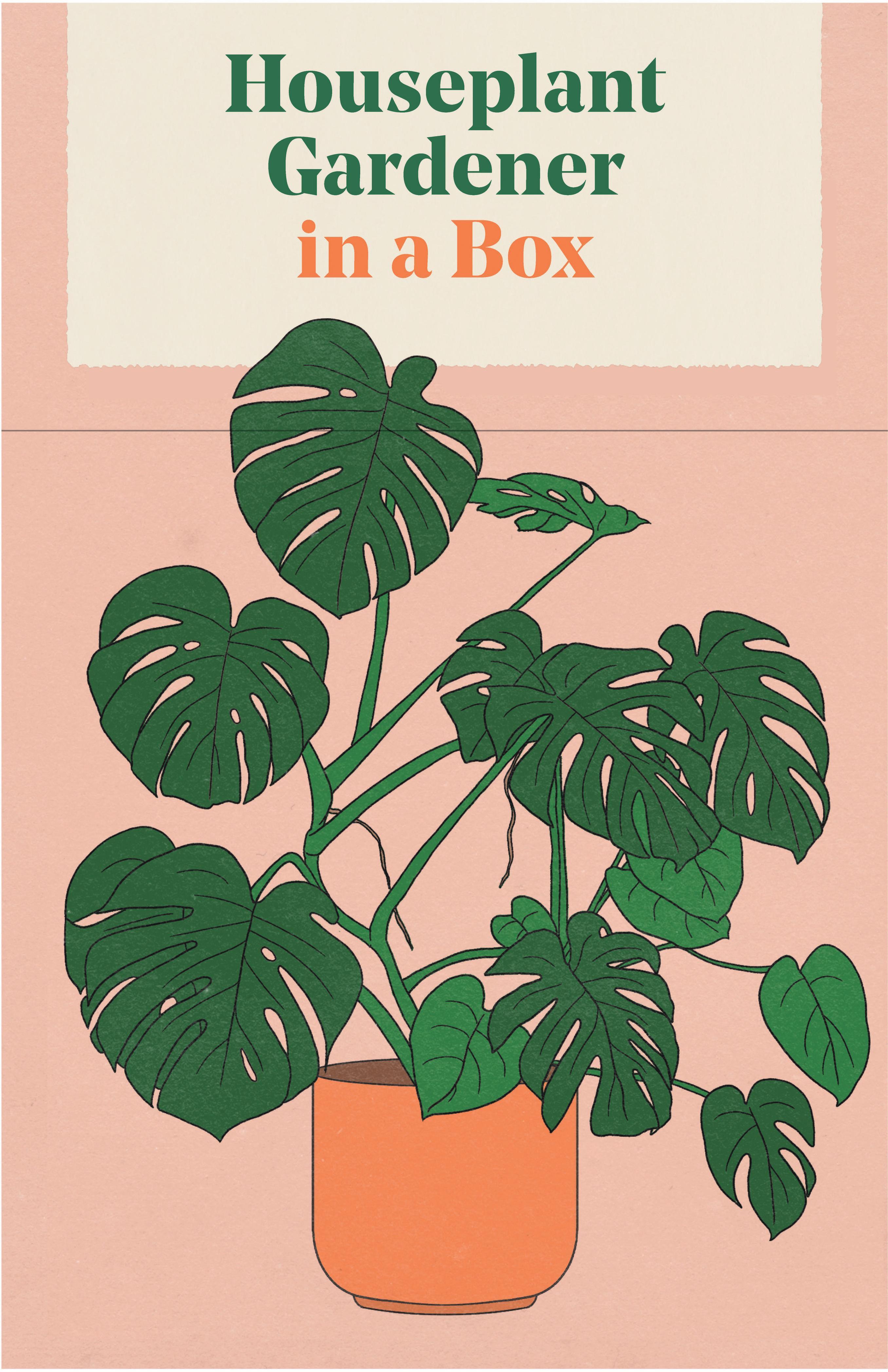 Vorderes Coverbild Houseplant Gardener in a Box