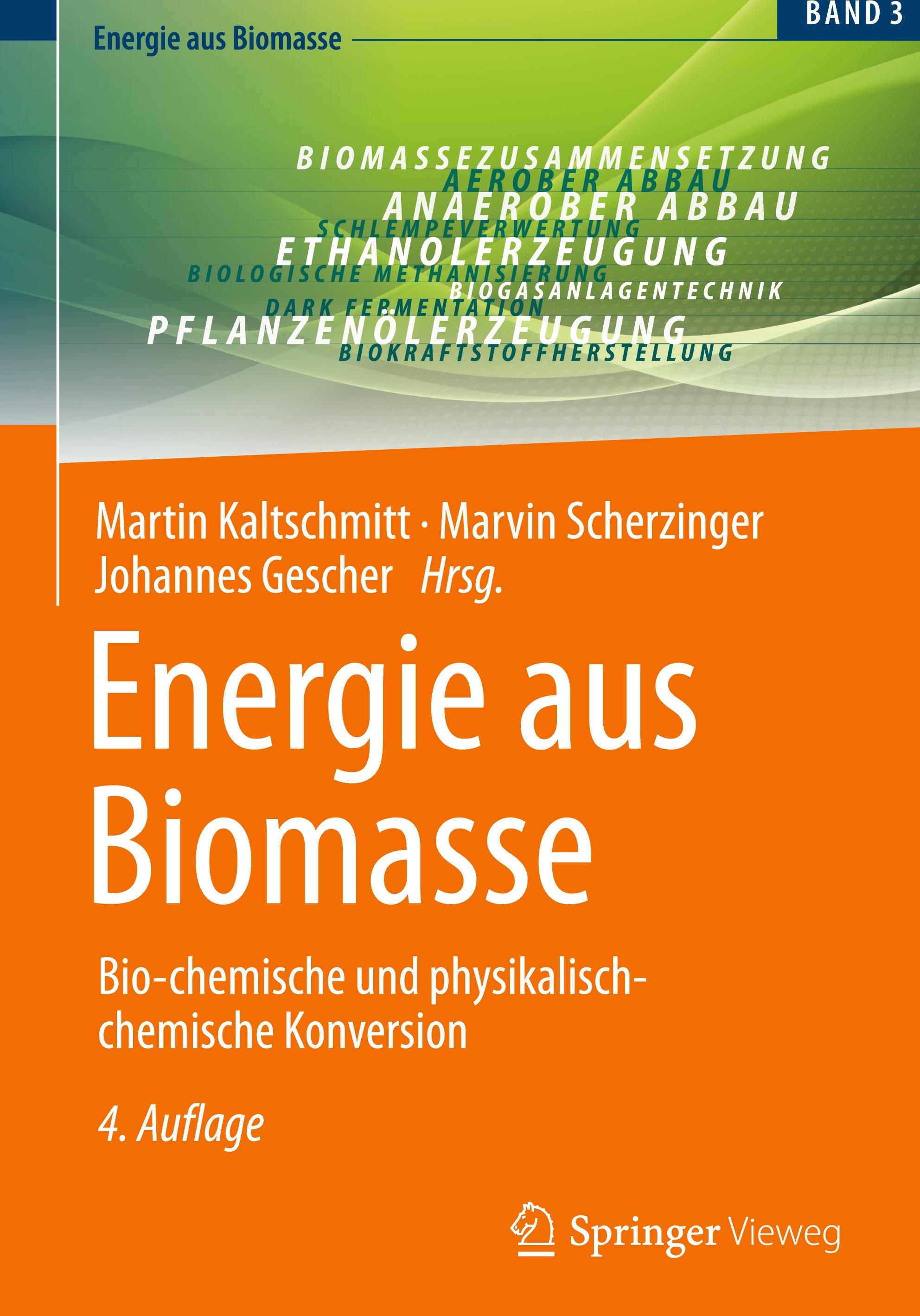 Vorderes Coverbild Energie aus Biomasse