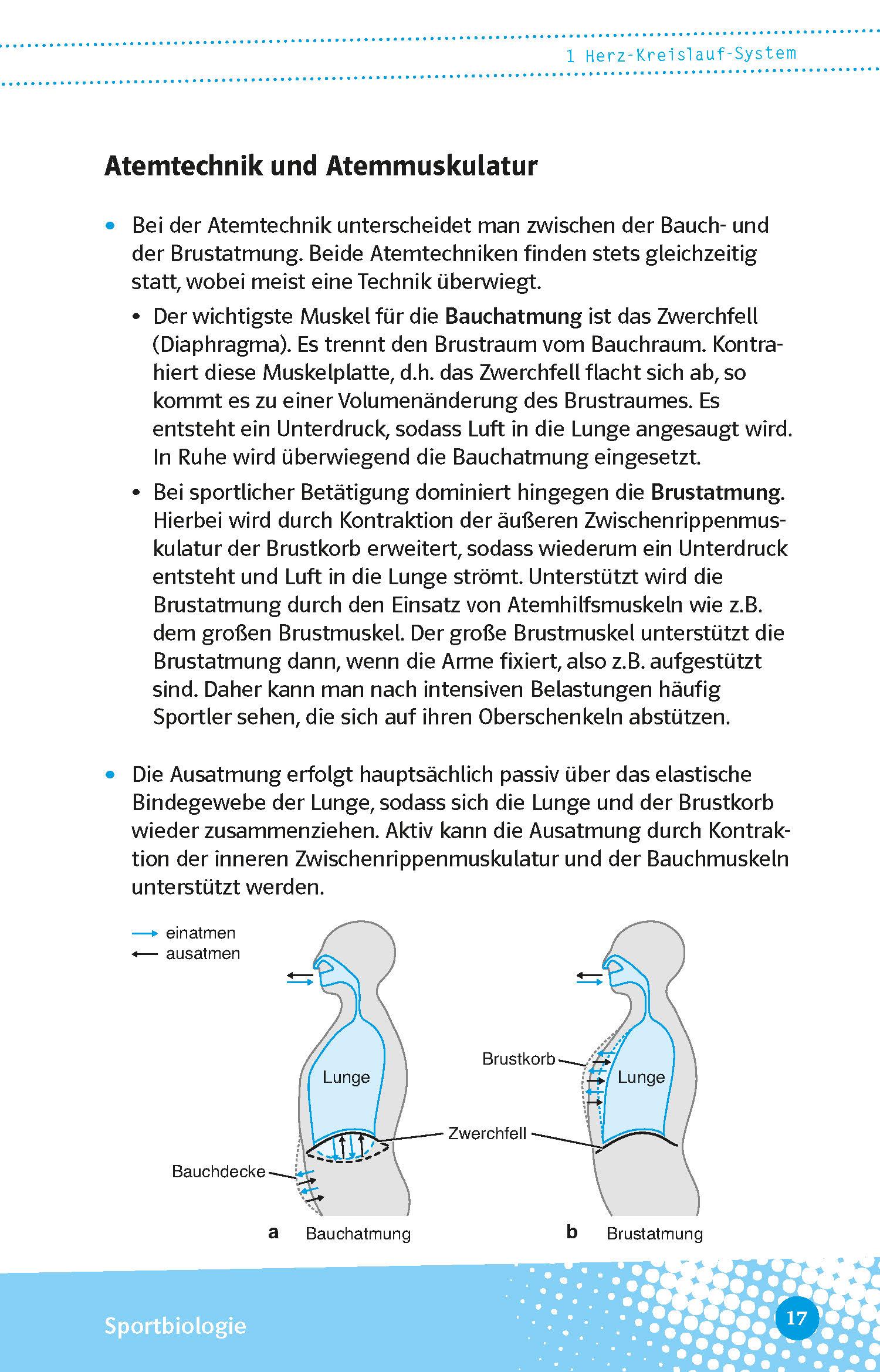 Beispielinhalt (Bild) Abi last minute Sport
