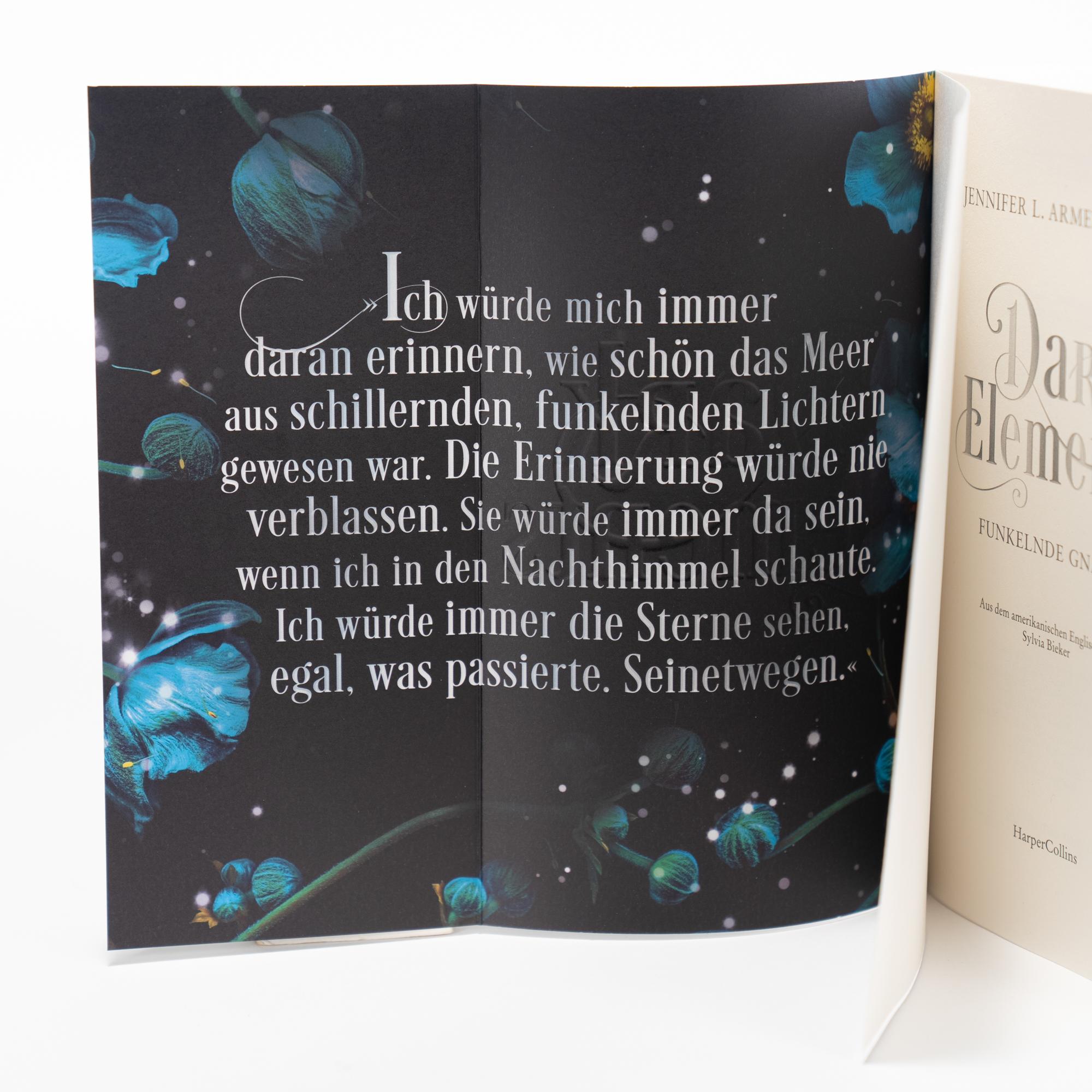 Beispielinhalt (Bild) Dark Elements 6 - Funkelnde Gnade