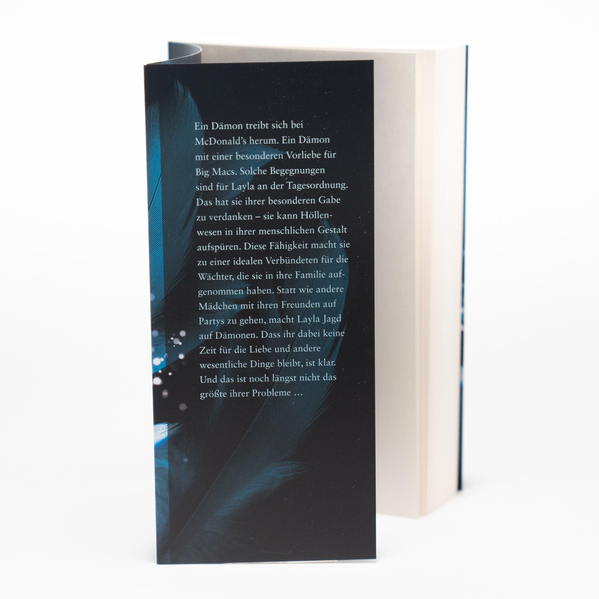 Beispielinhalt (Bild) Dark Elements 1 - Steinerne Schwingen