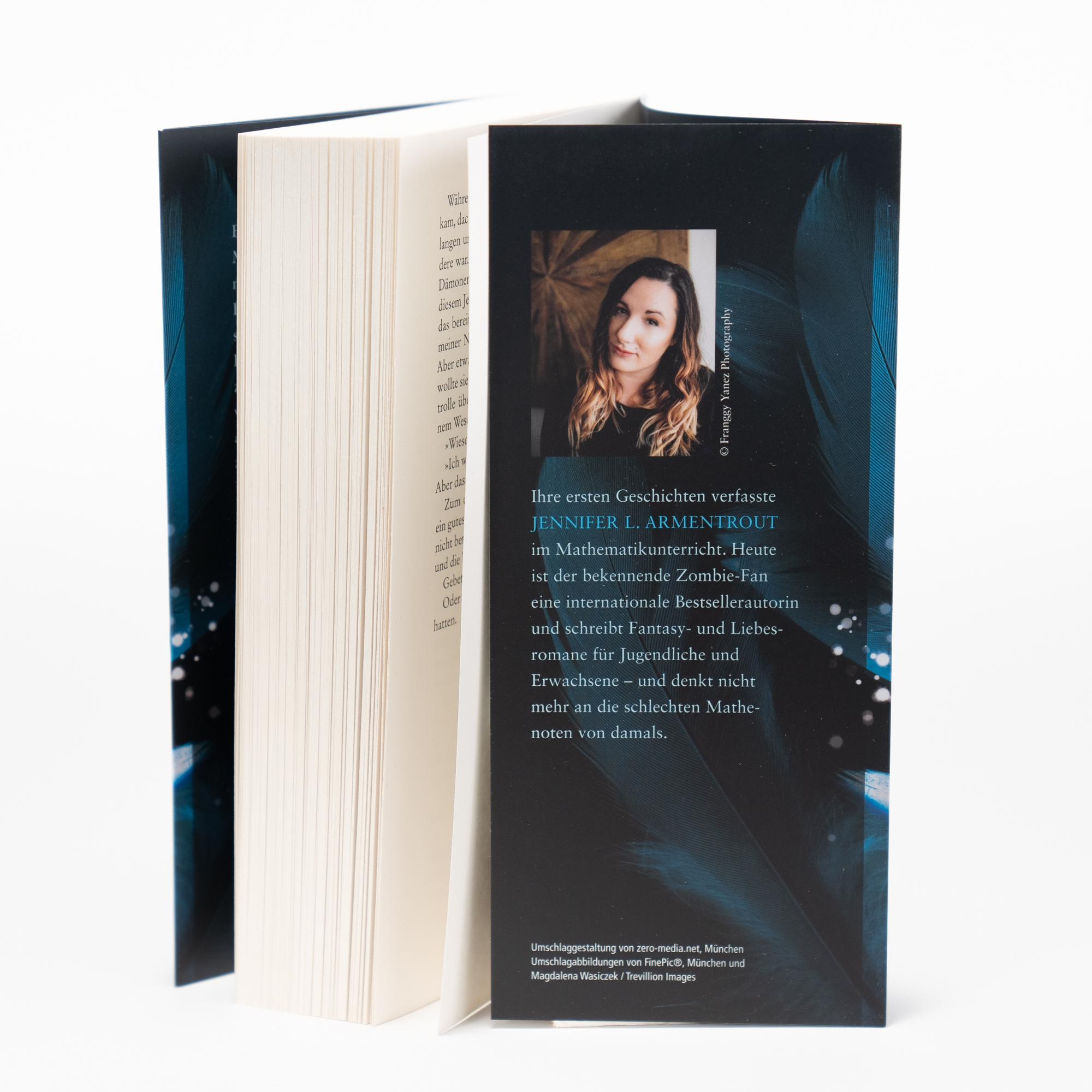 Beispielinhalt (Bild) Dark Elements 1 - Steinerne Schwingen