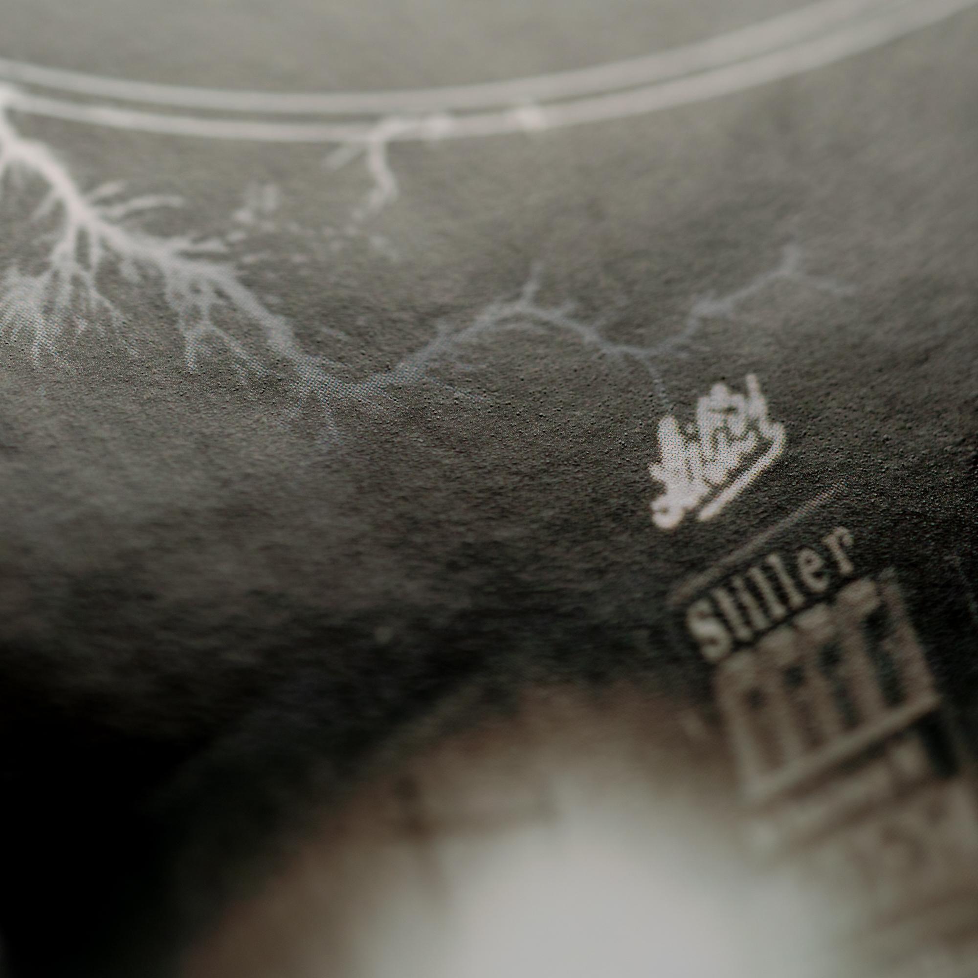 Beispielinhalt (Bild) Der elektrische Traum. Fortschrittsjahre oder eine Gesellschaft unter Strom