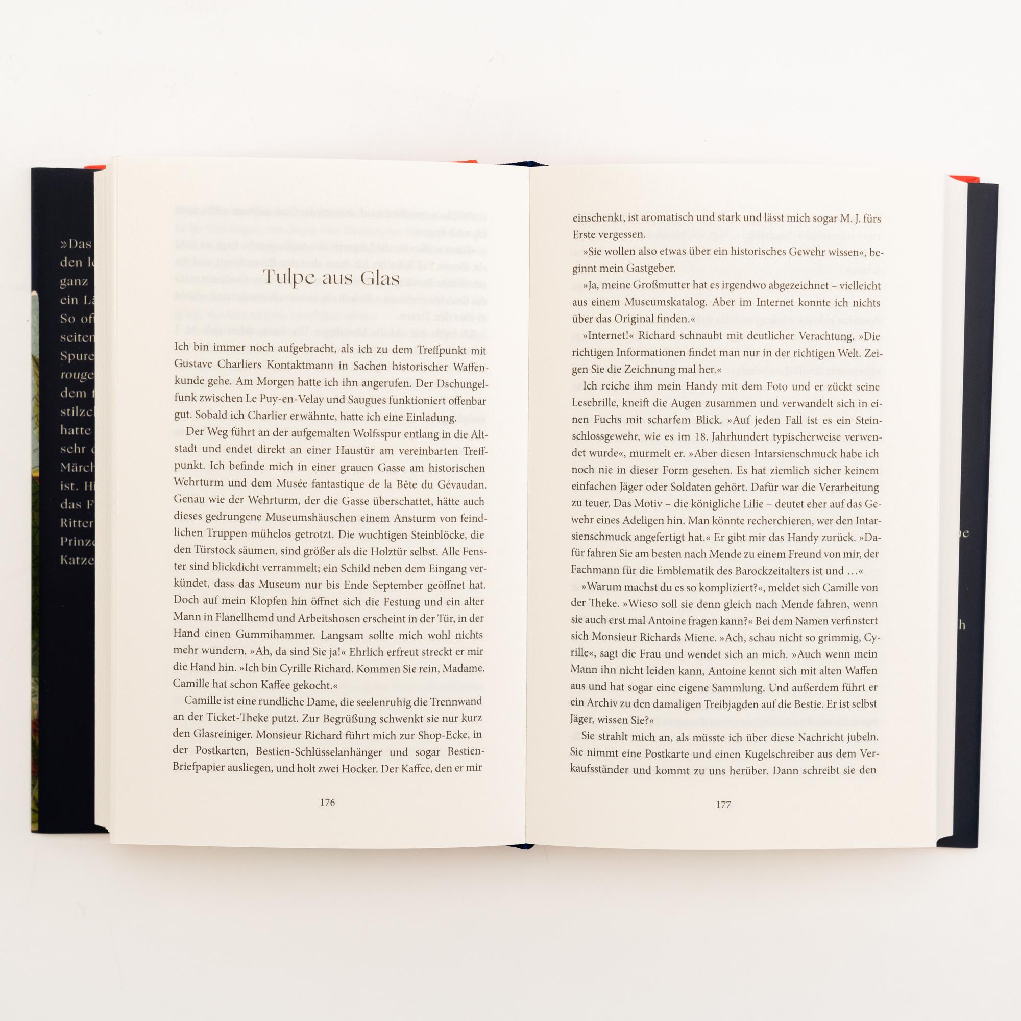 Beispielinhalt (Bild) Der elektrische Traum. Fortschrittsjahre oder eine Gesellschaft unter Strom