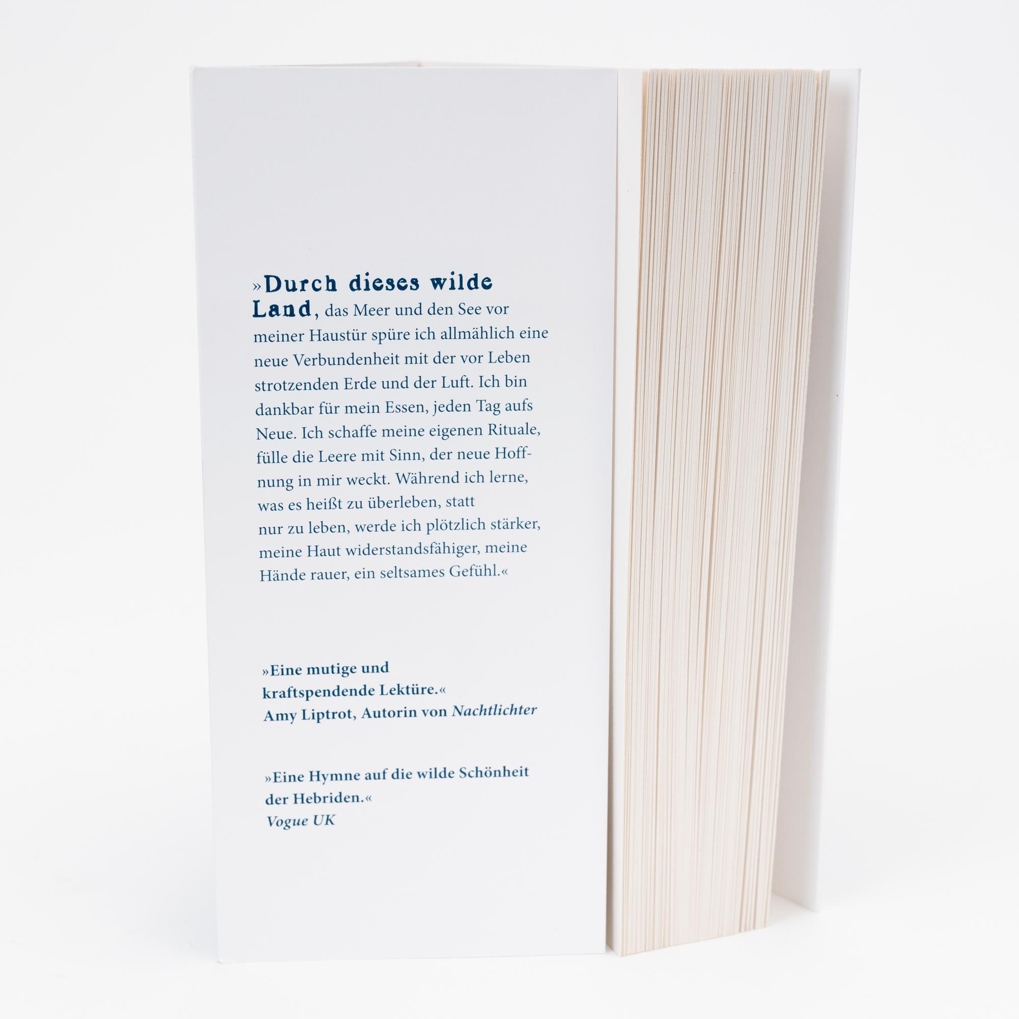 Beispielinhalt (Bild) Elementarwellen