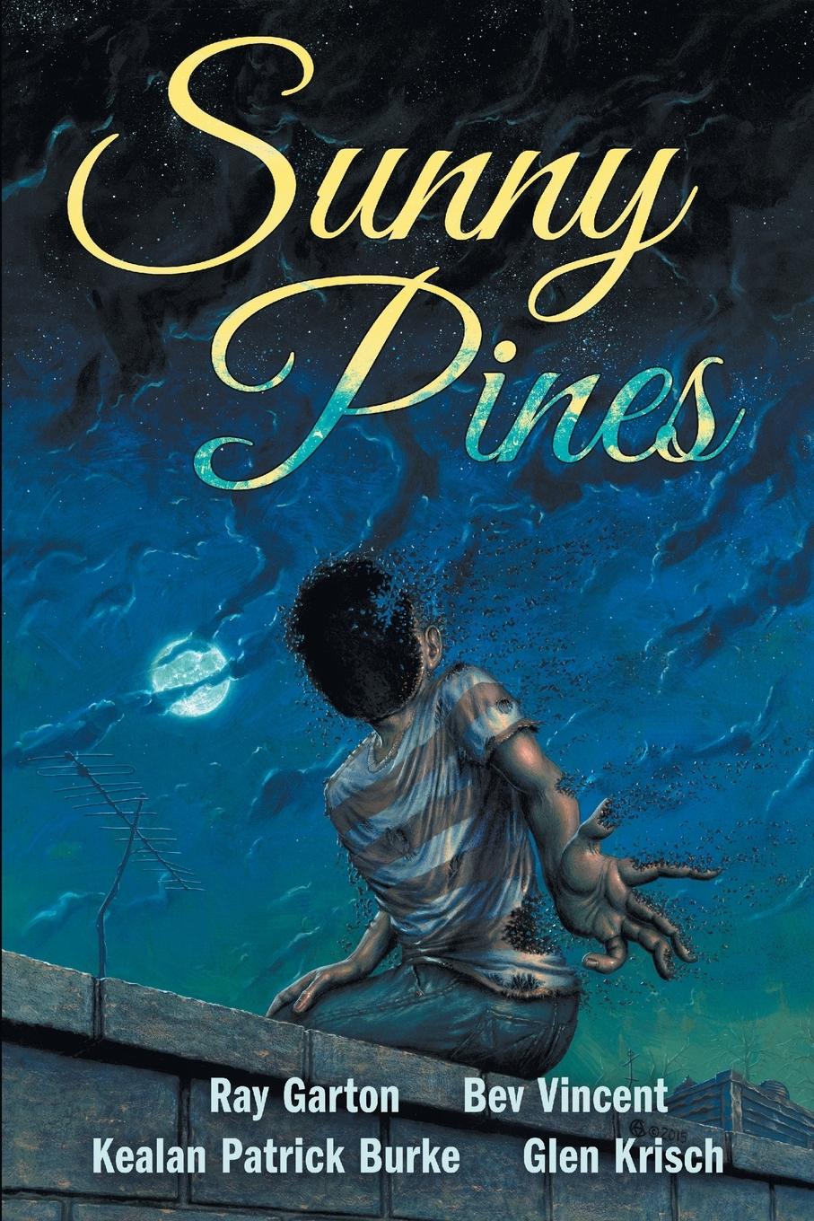 Vorderes Coverbild Sunny Pines