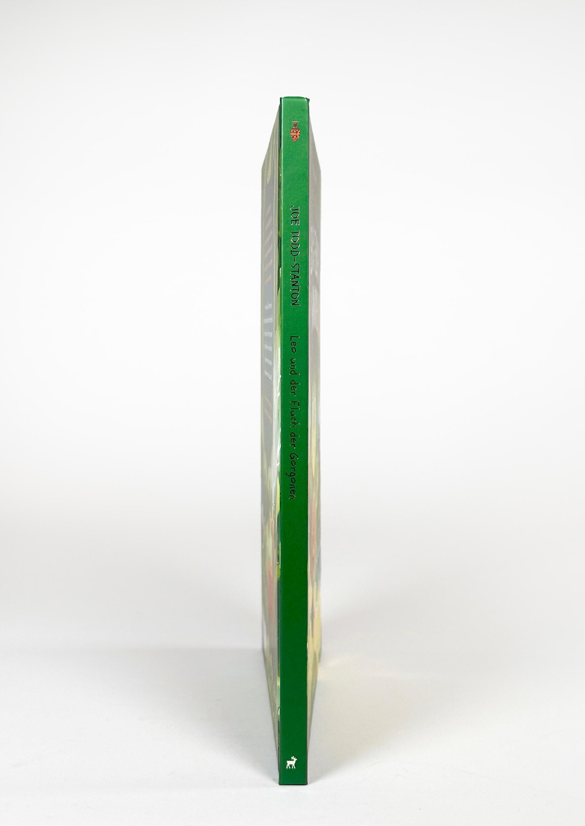 Beispielinhalt (Bild) Professor Blausteins höchst ungewöhnliche Vorfahren (Band 2) - Leo und der Fluch der Gorgonen