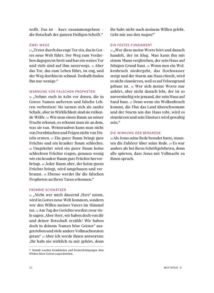 Beispielinhalt (Bild) Das neue Testament. Übertragen in die Sprache unserer Zeit. Rote Ausgabe