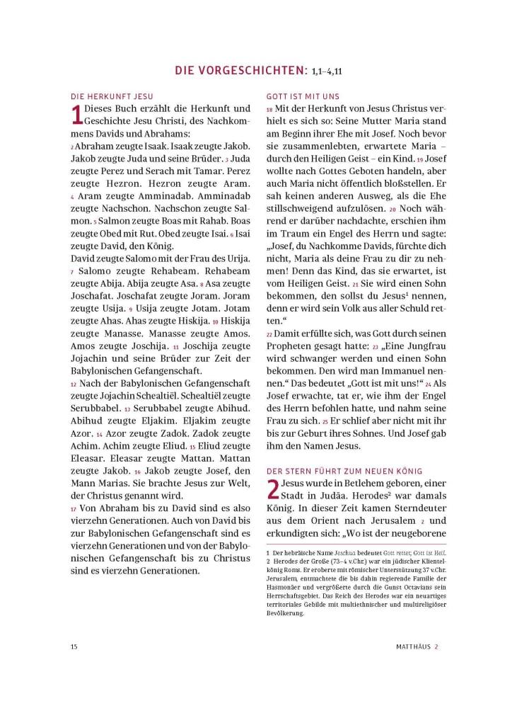Beispielinhalt (Bild) Das neue Testament. Übertragen in die Sprache unserer Zeit. Rote Ausgabe
