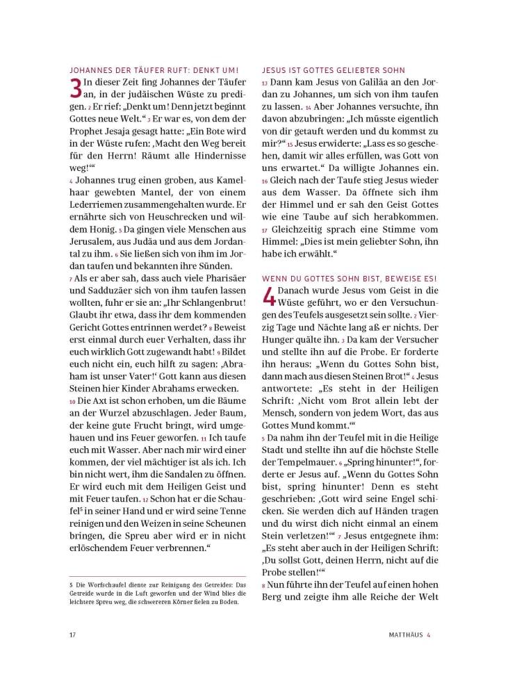 Beispielinhalt (Bild) Das neue Testament. Übertragen in die Sprache unserer Zeit. Blaue Ausgabe