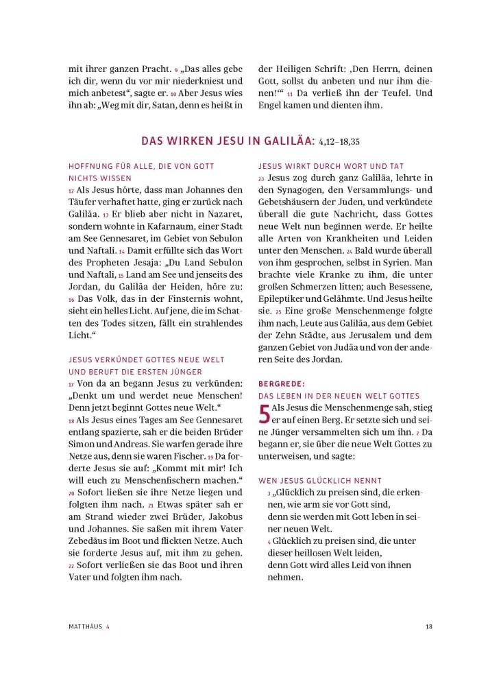 Beispielinhalt (Bild) Das neue Testament. Übertragen in die Sprache unserer Zeit. Blaue Ausgabe