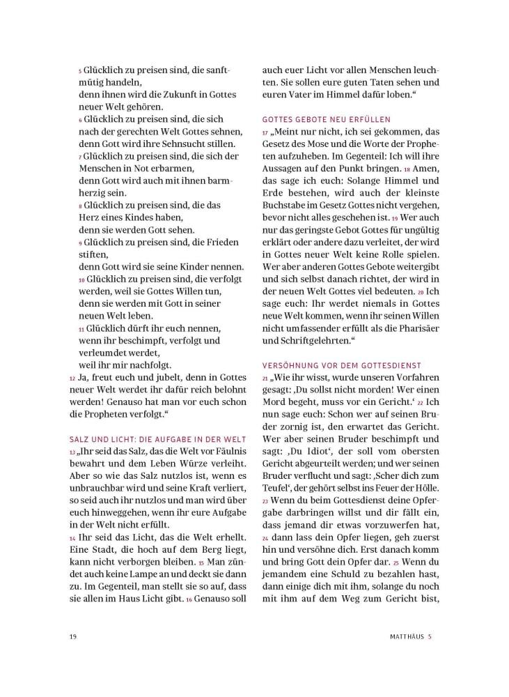 Beispielinhalt (Bild) Das neue Testament. Übertragen in die Sprache unserer Zeit. Blaue Ausgabe