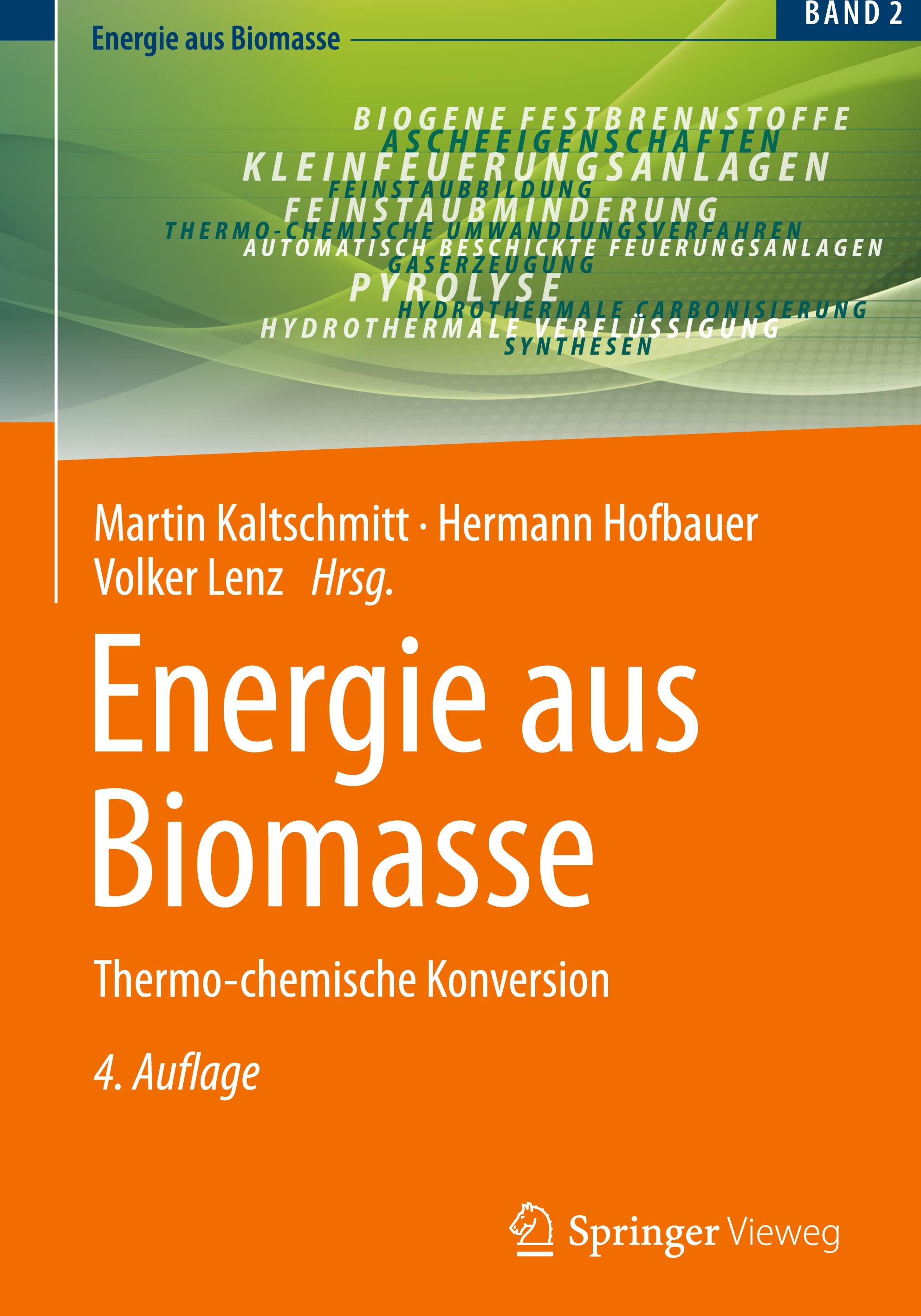 Vorderes Coverbild Energie aus Biomasse