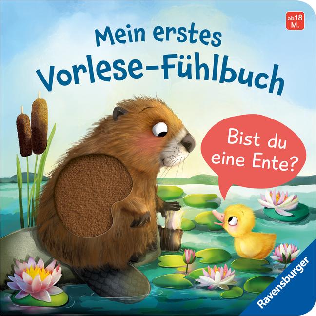 Vorderes Coverbild Mein erstes Vorlese-Fühlbuch - Bist du eine Ente?