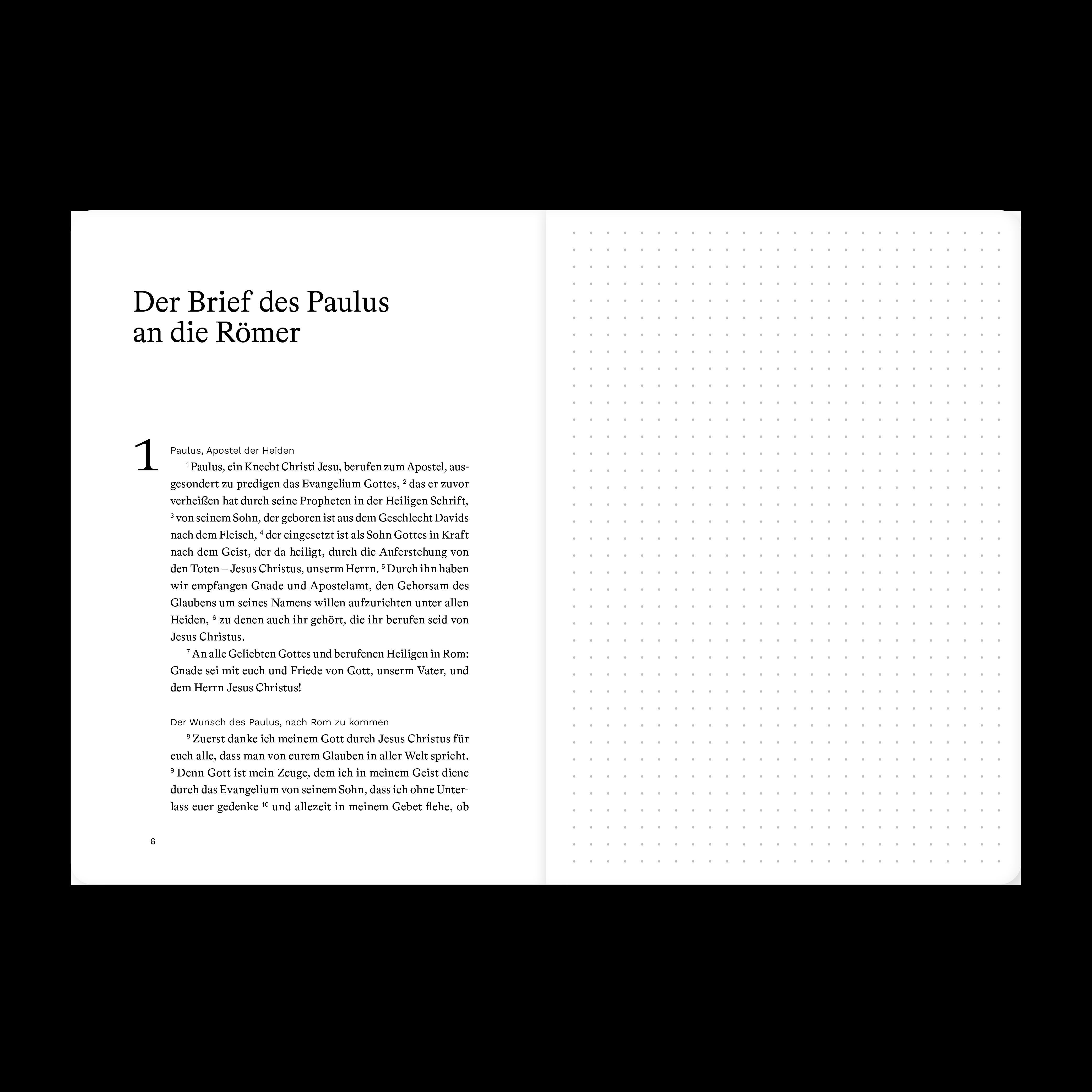 Beispielinhalt (Bild) Römer (Bibeljournal)