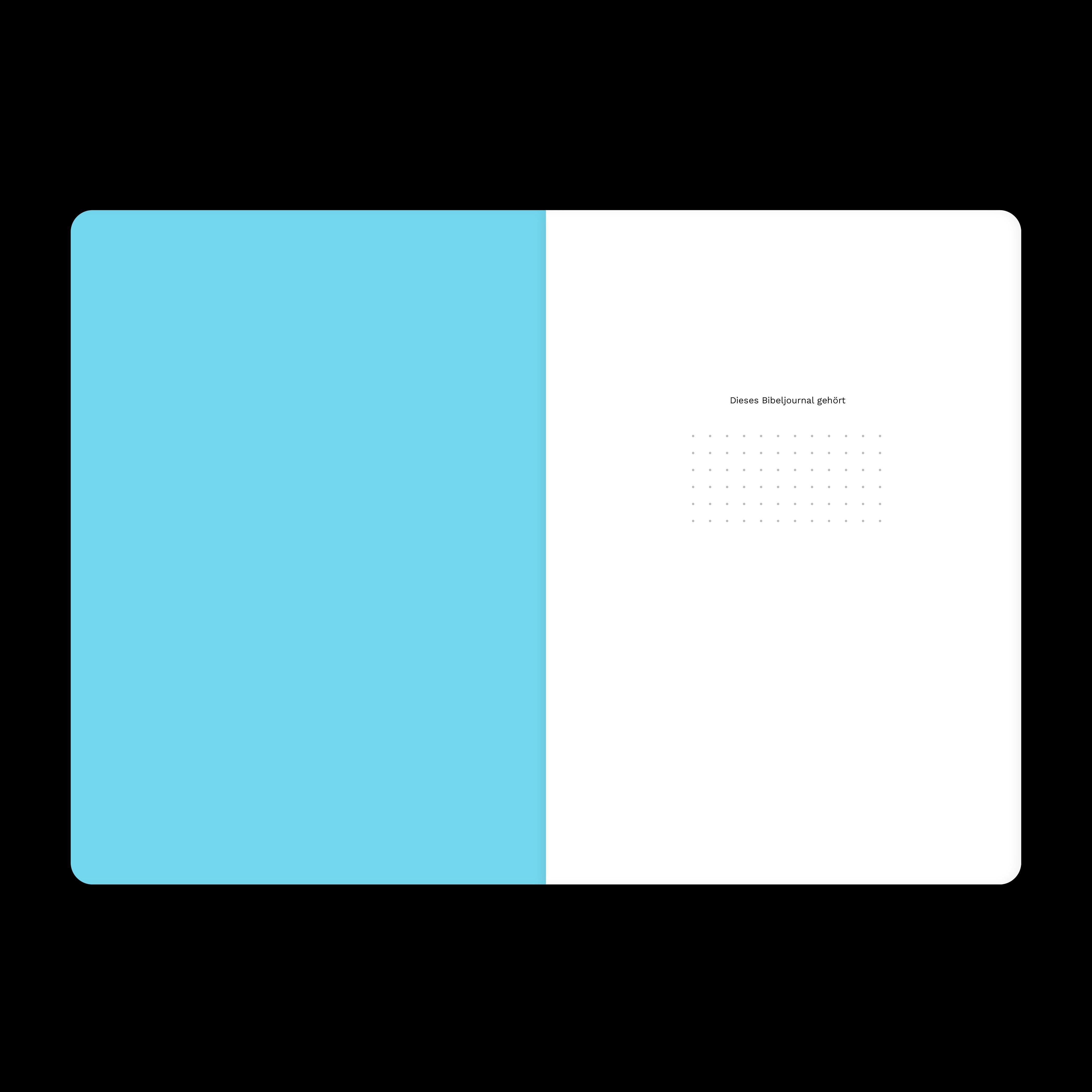 Beispielinhalt (Bild) Josua (Bibeljournal)