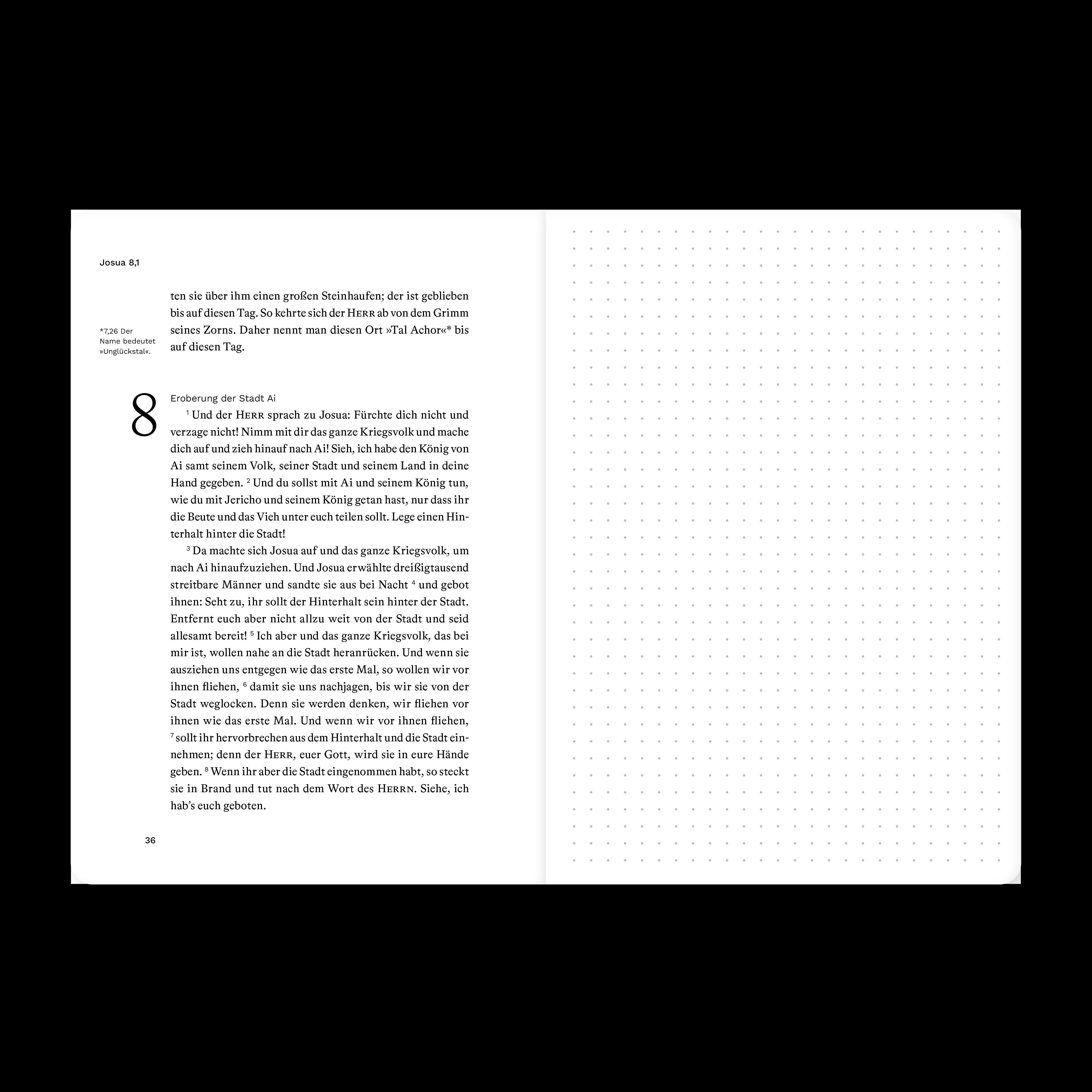 Beispielinhalt (Bild) Josua (Bibeljournal)