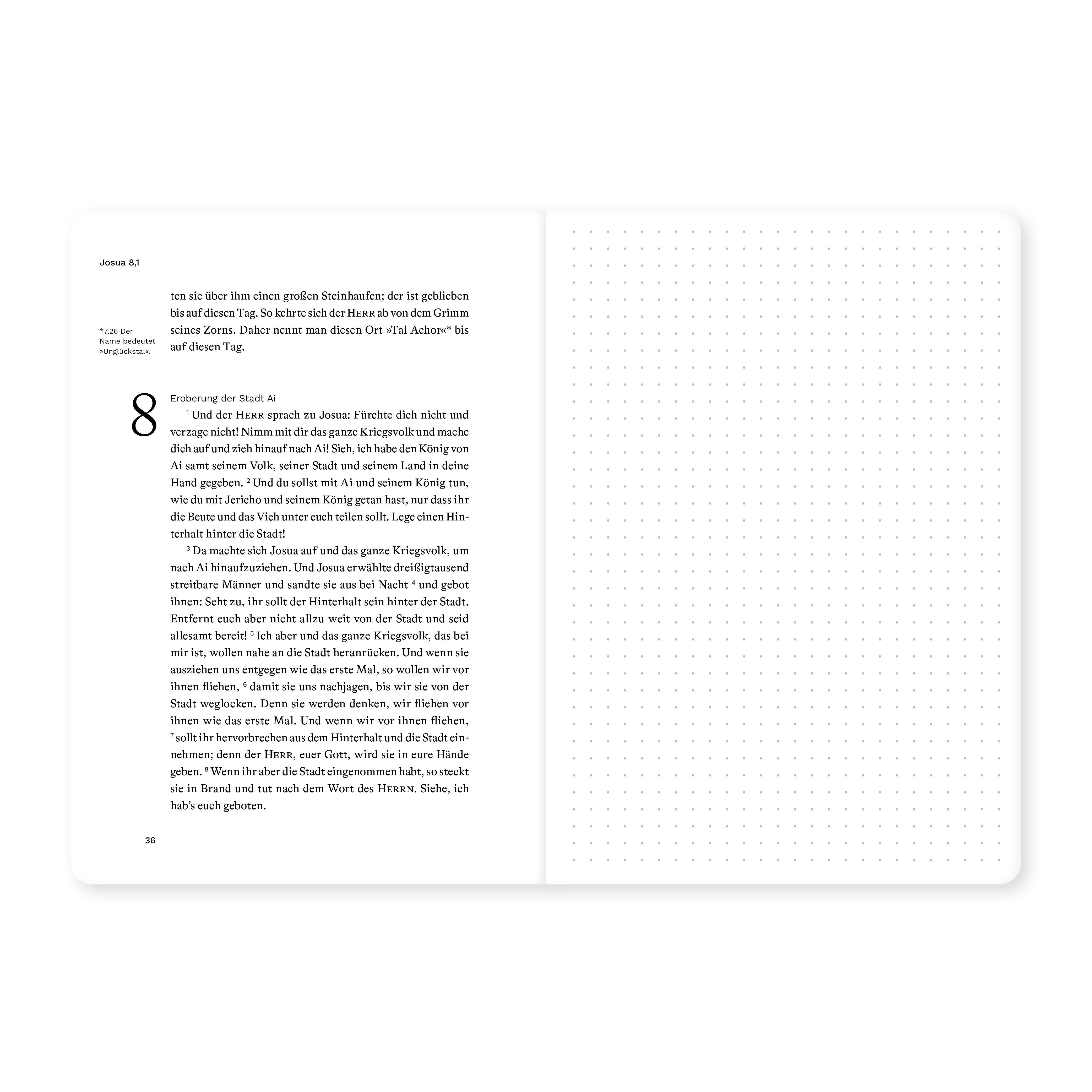 Beispielinhalt (Bild) Josua (Bibeljournal)