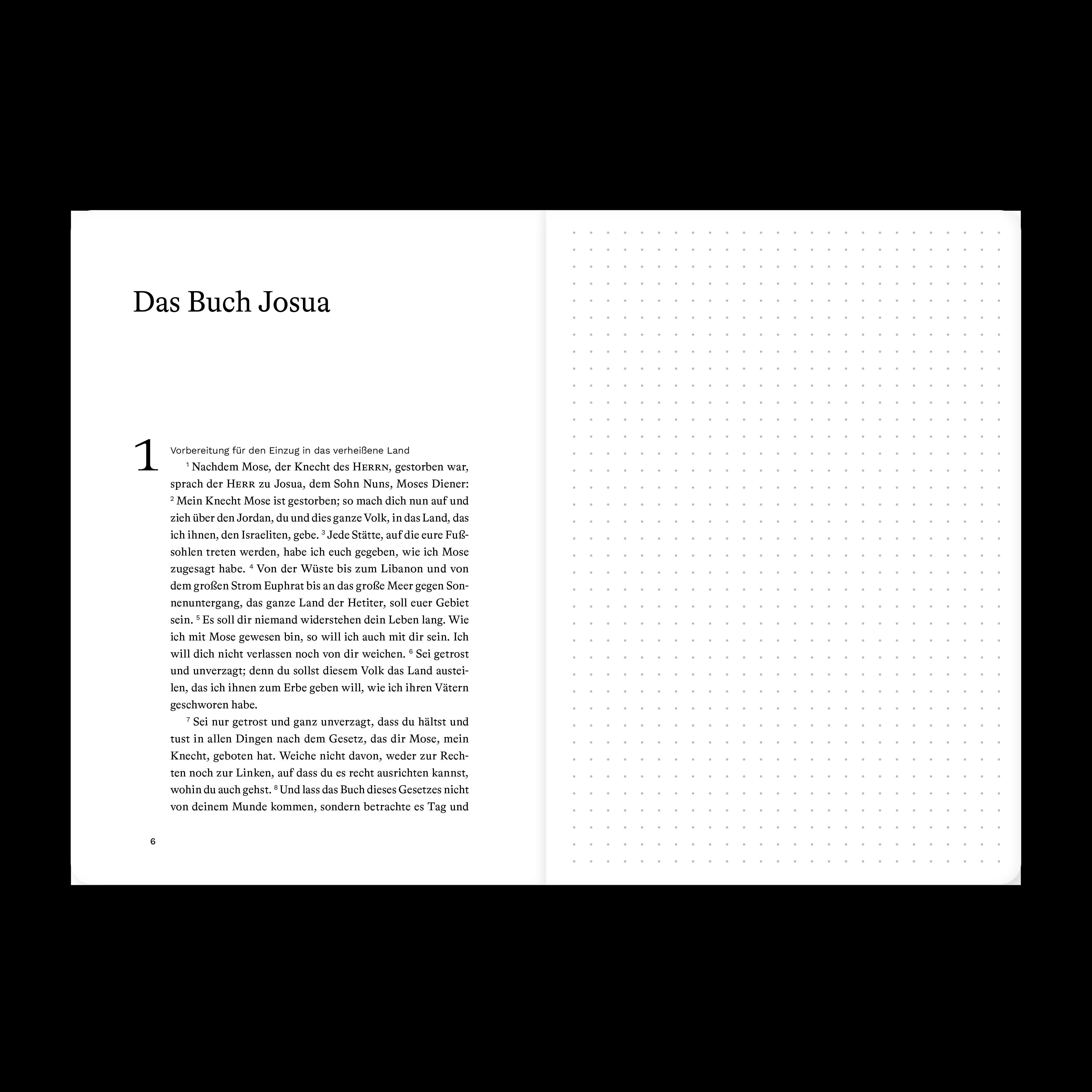 Beispielinhalt (Bild) Josua (Bibeljournal)