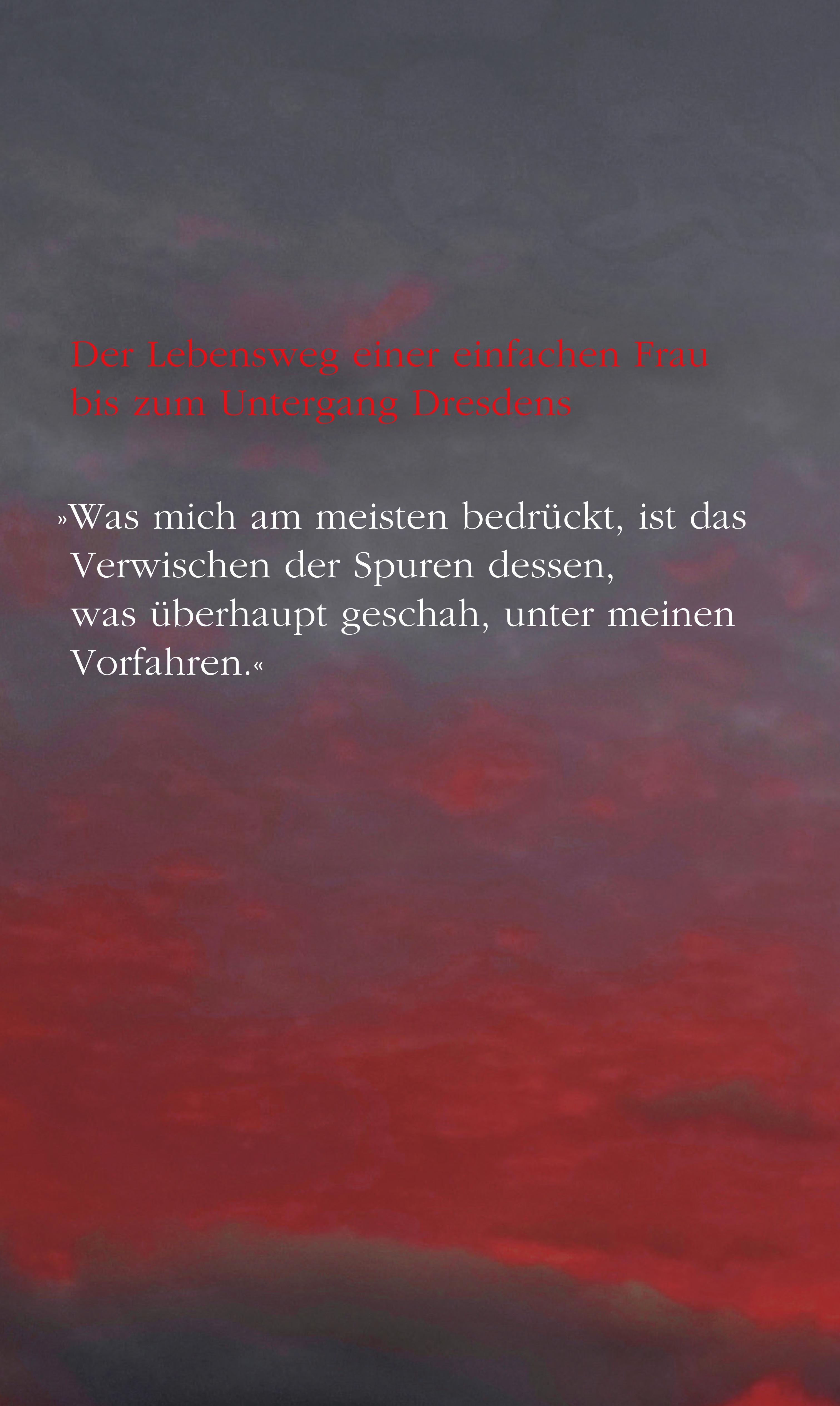 Rückseitencover Der Komet