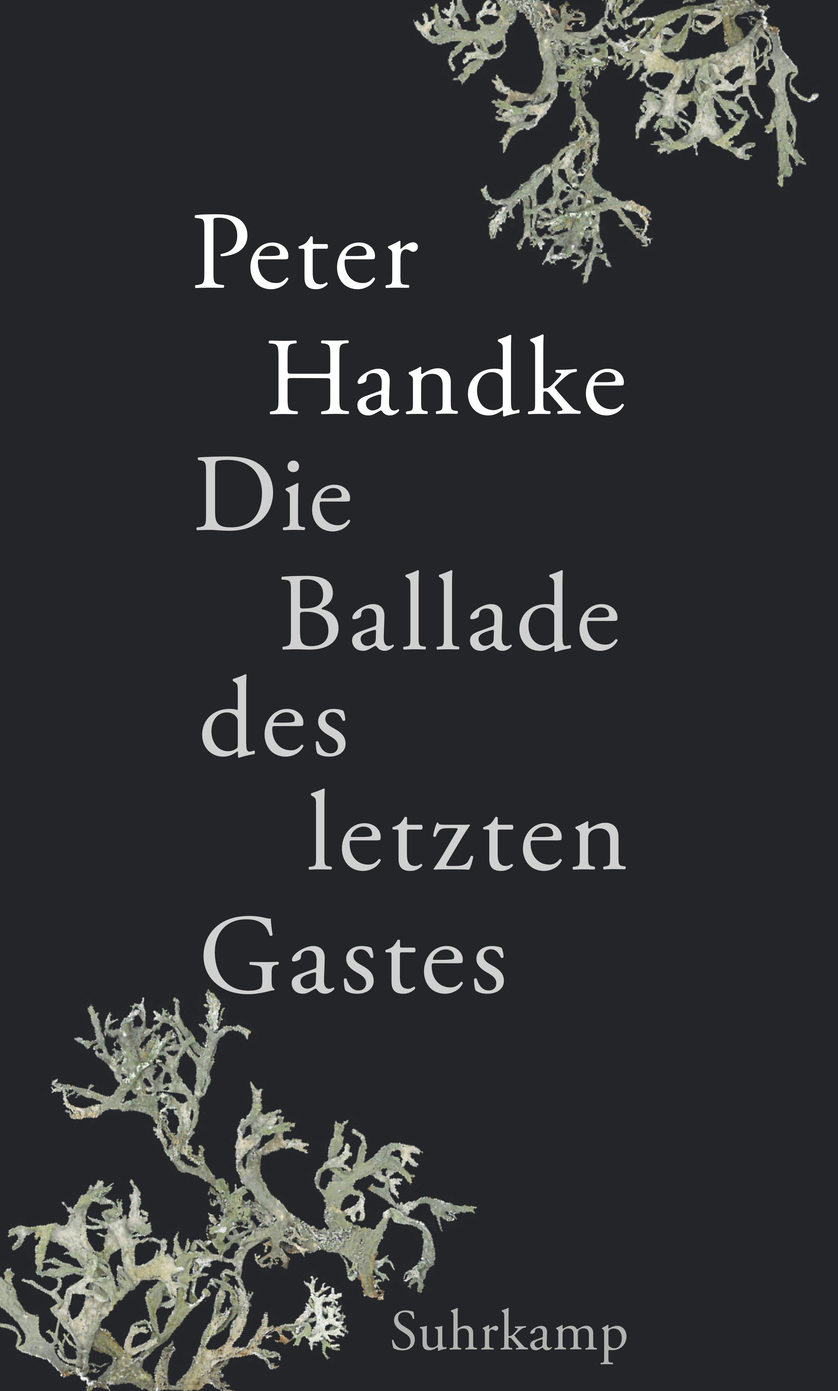 Vorderes Coverbild Die Ballade des letzten Gastes