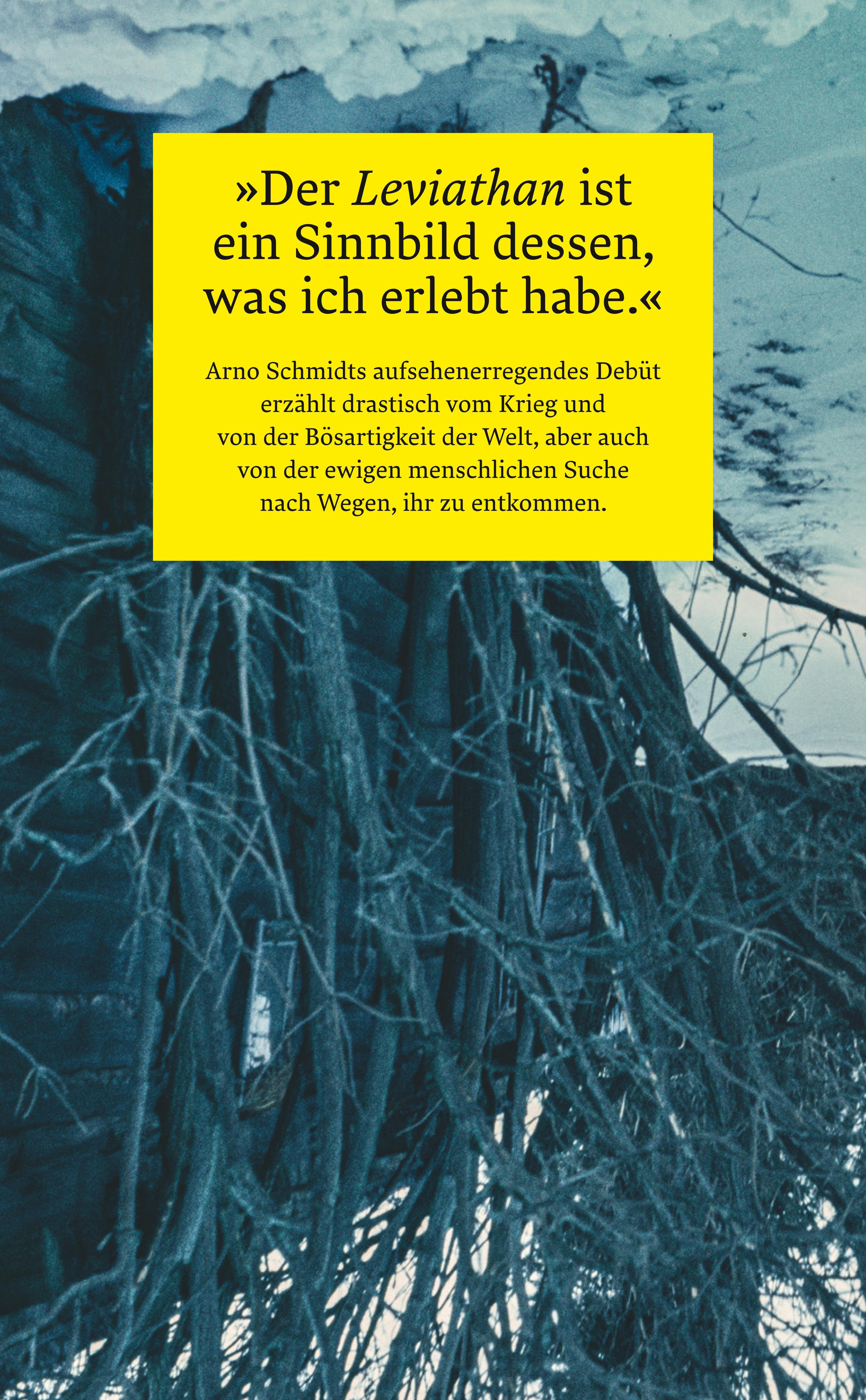 Rückseitencover Leviathan oder Die Beste der Welten. Gadir oder Erkenne dich selbst. Enthymesis oder W.I.E.H.