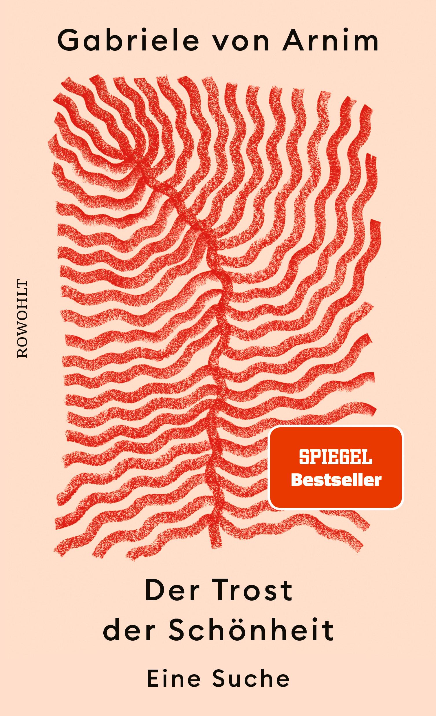 Vorderes Coverbild Der Trost der Schönheit